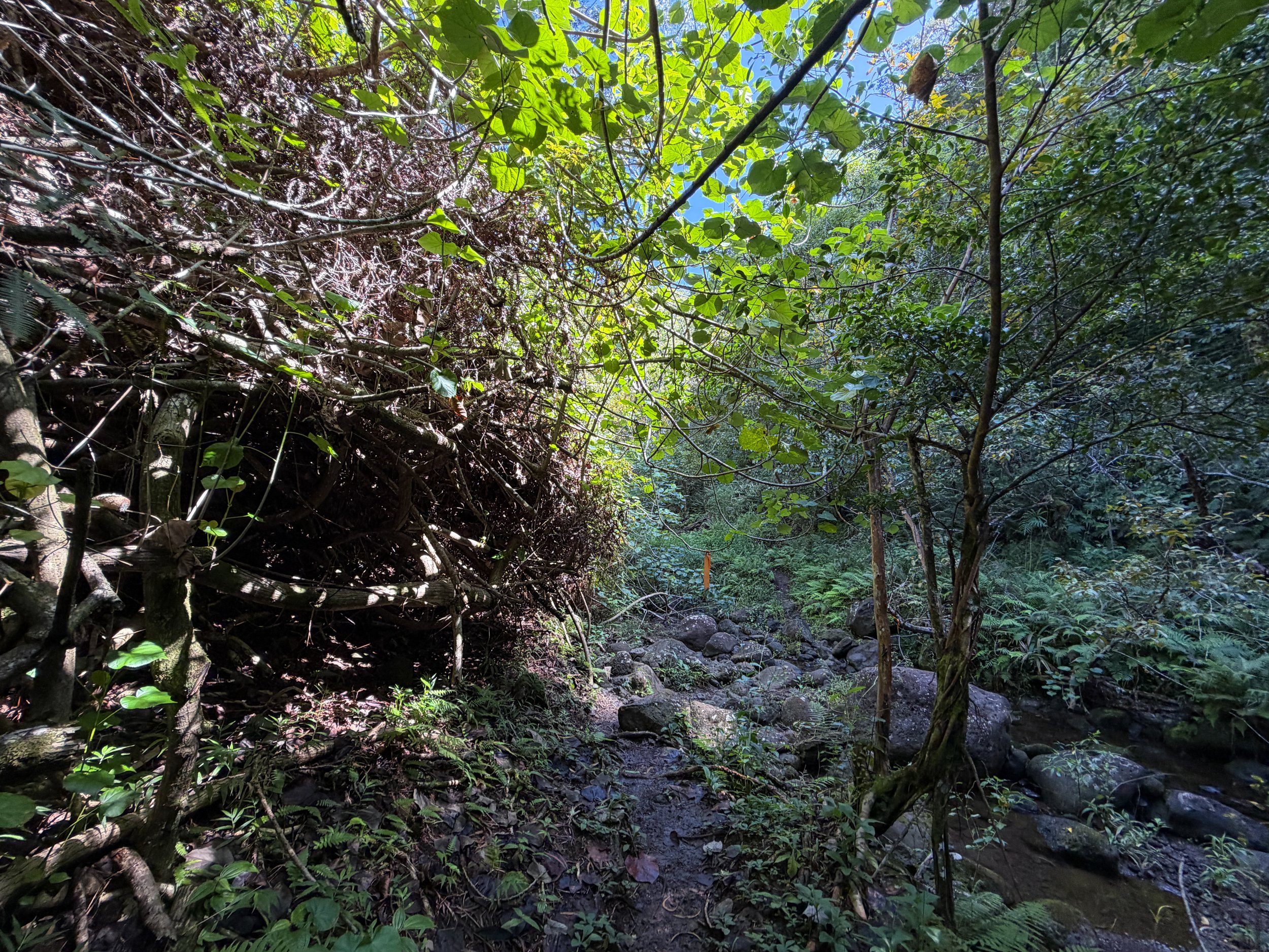 Kulanaahane Trail Oahu Hawaii