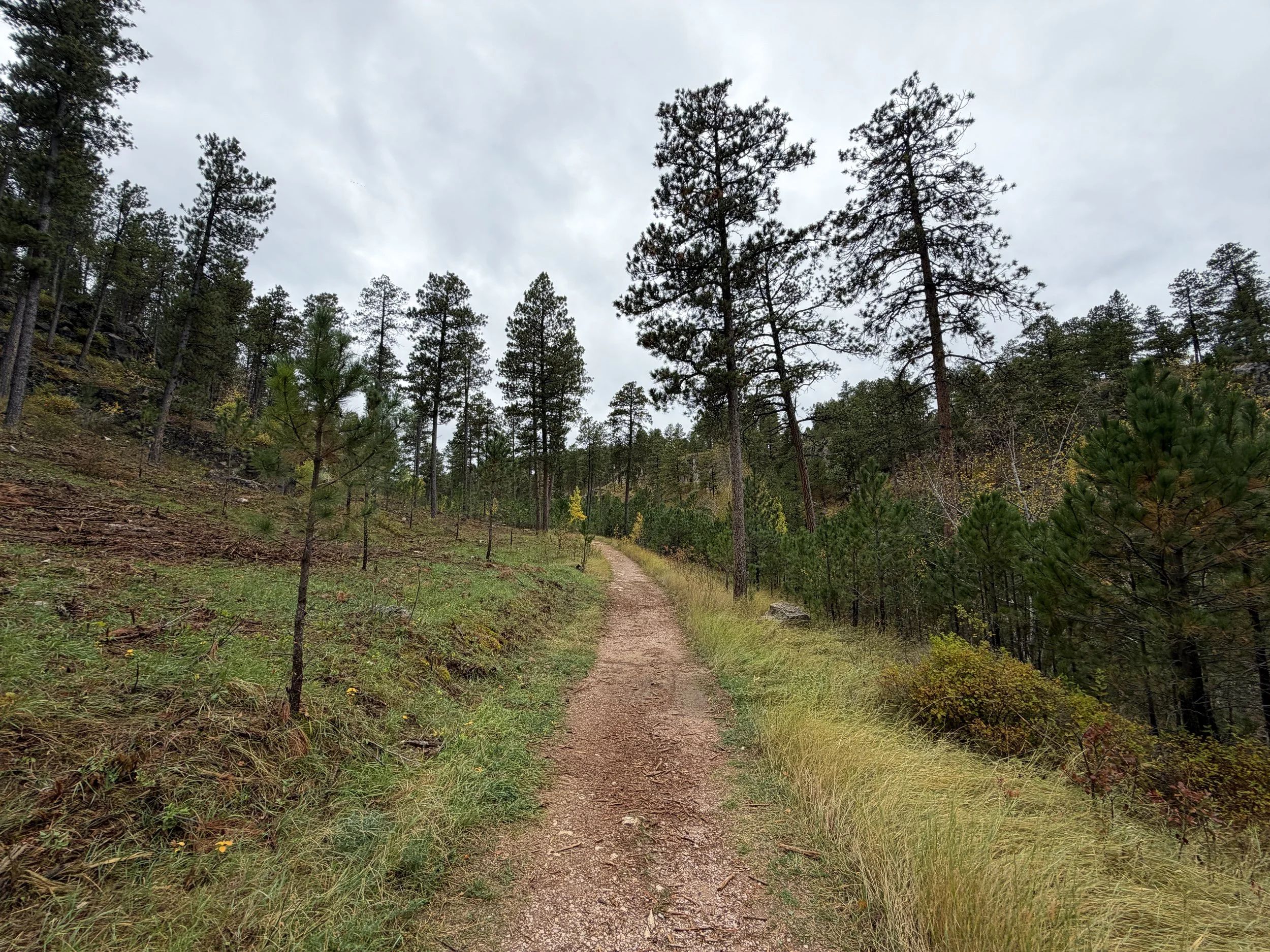 Buzzards Roost Trail Black Hills South Dakota