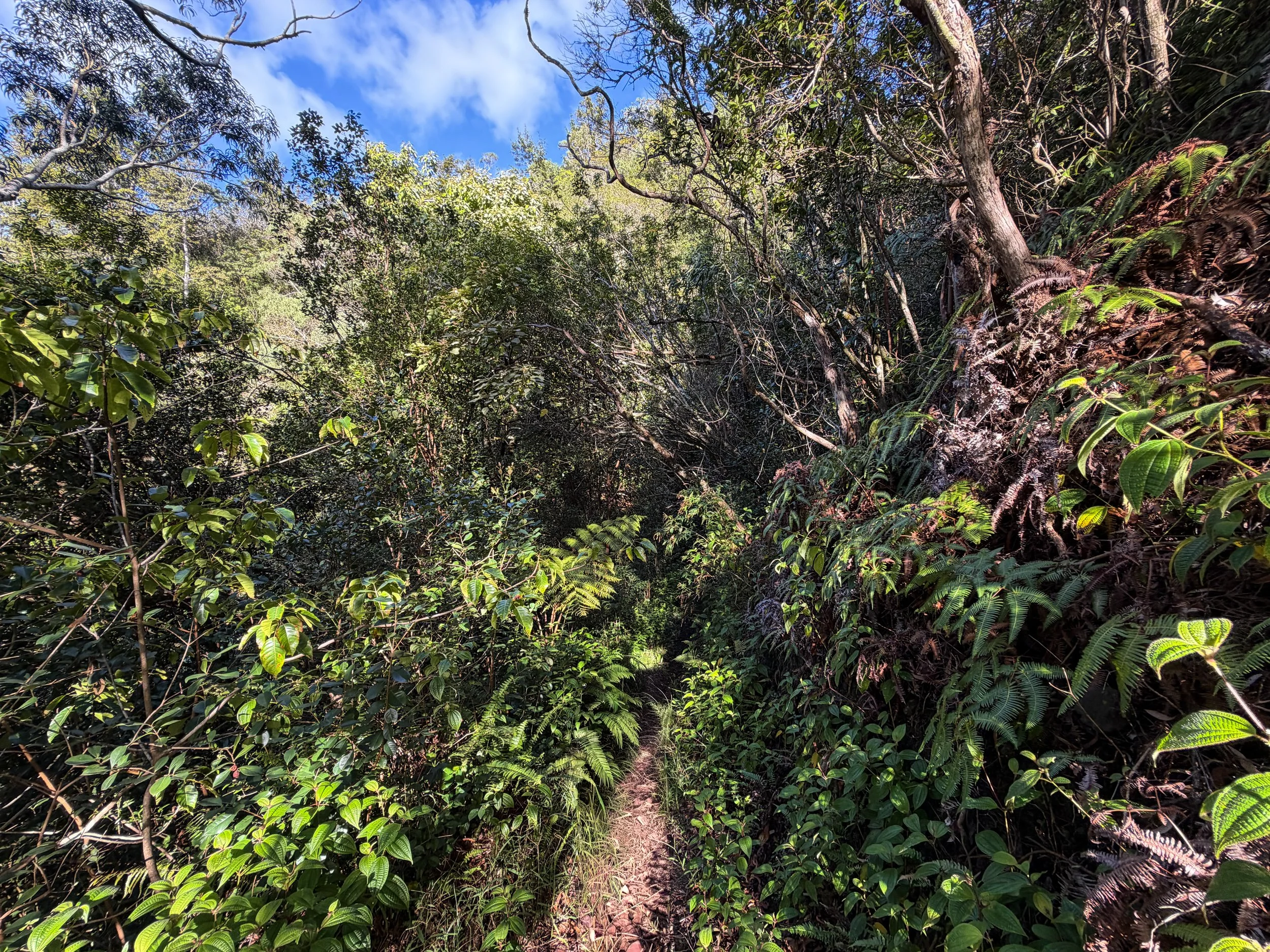 Mokuleia Trail Oahu Hawaii