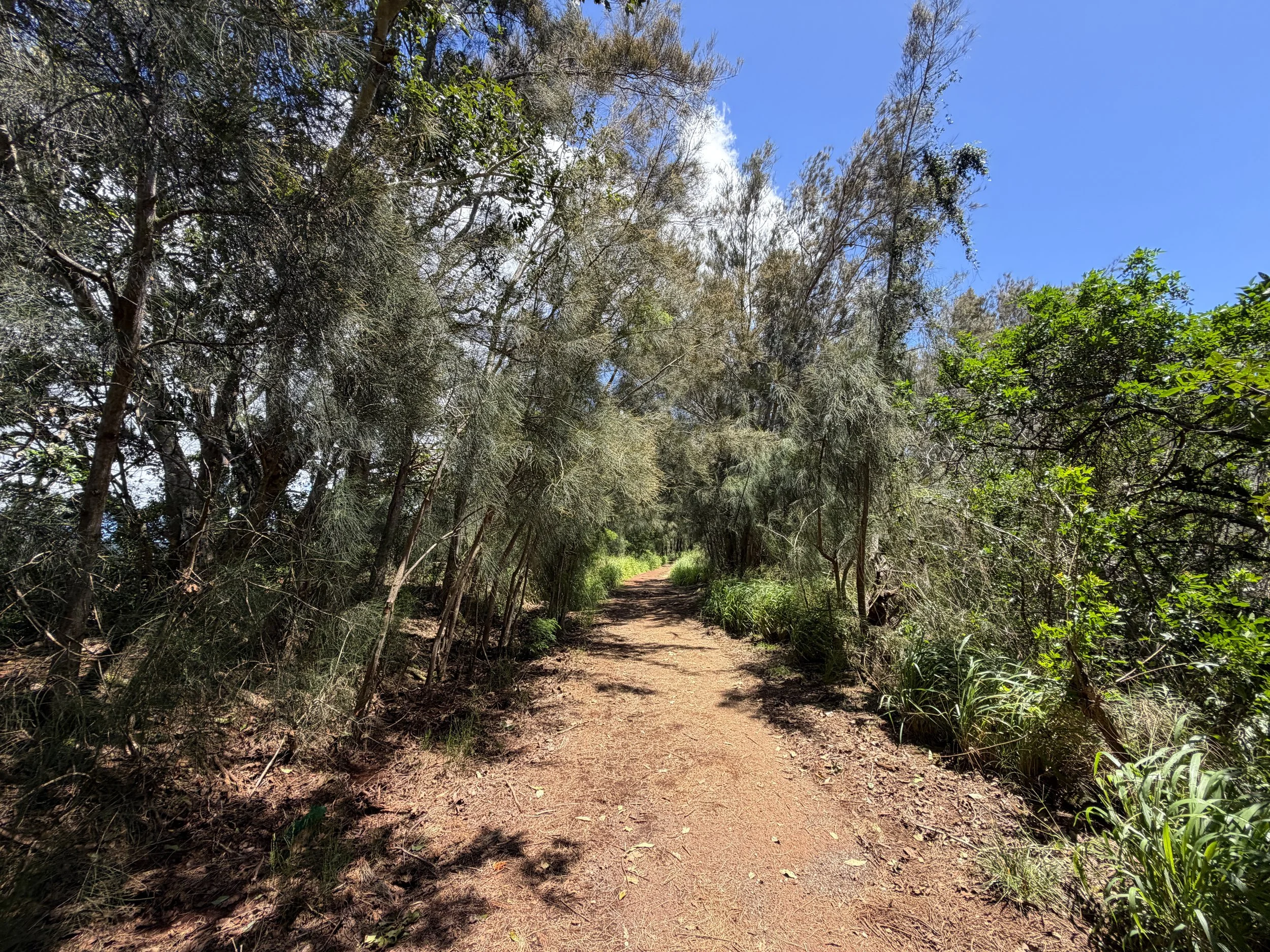 Waimano Falls Trail Oahu Hawaii