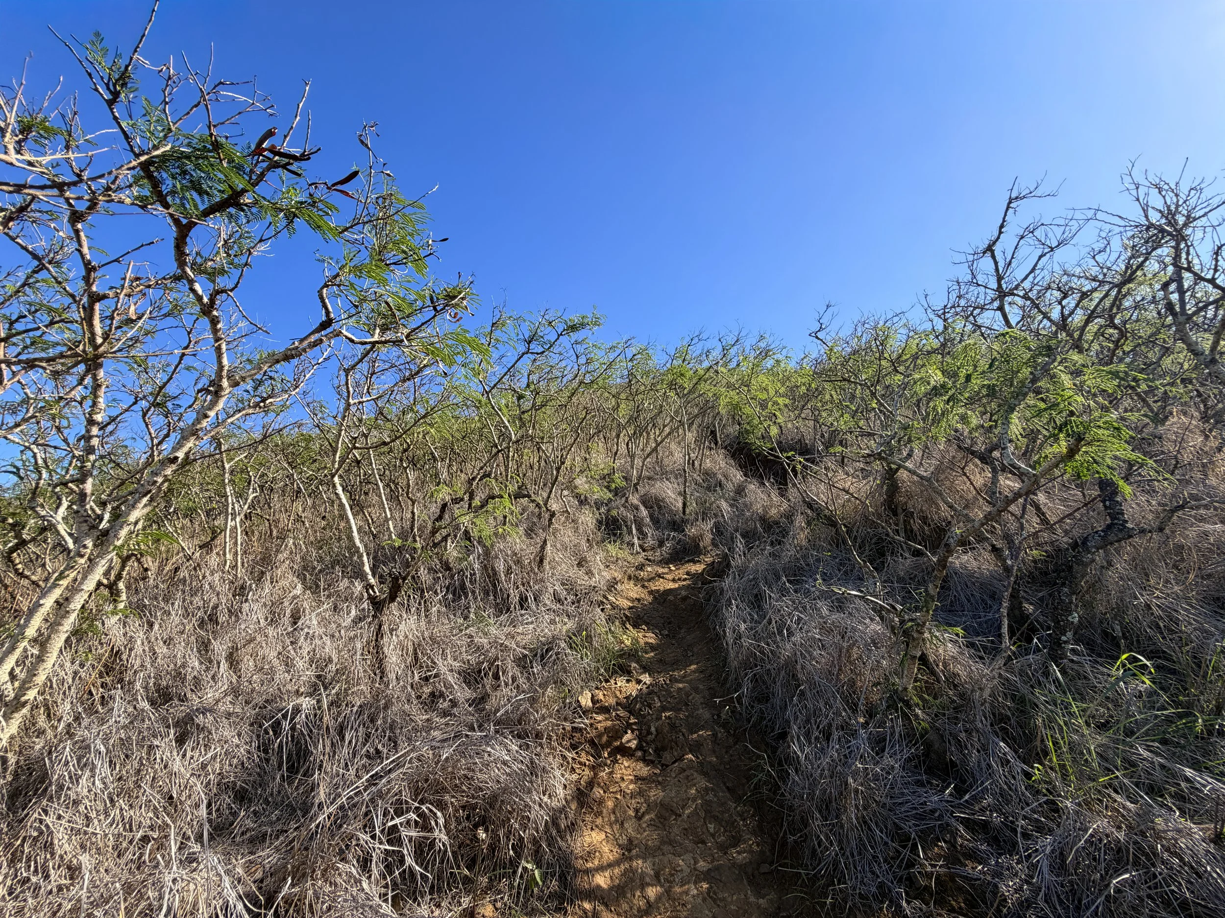 Back Lanikai Pillbox Trail Oahu Hawaii