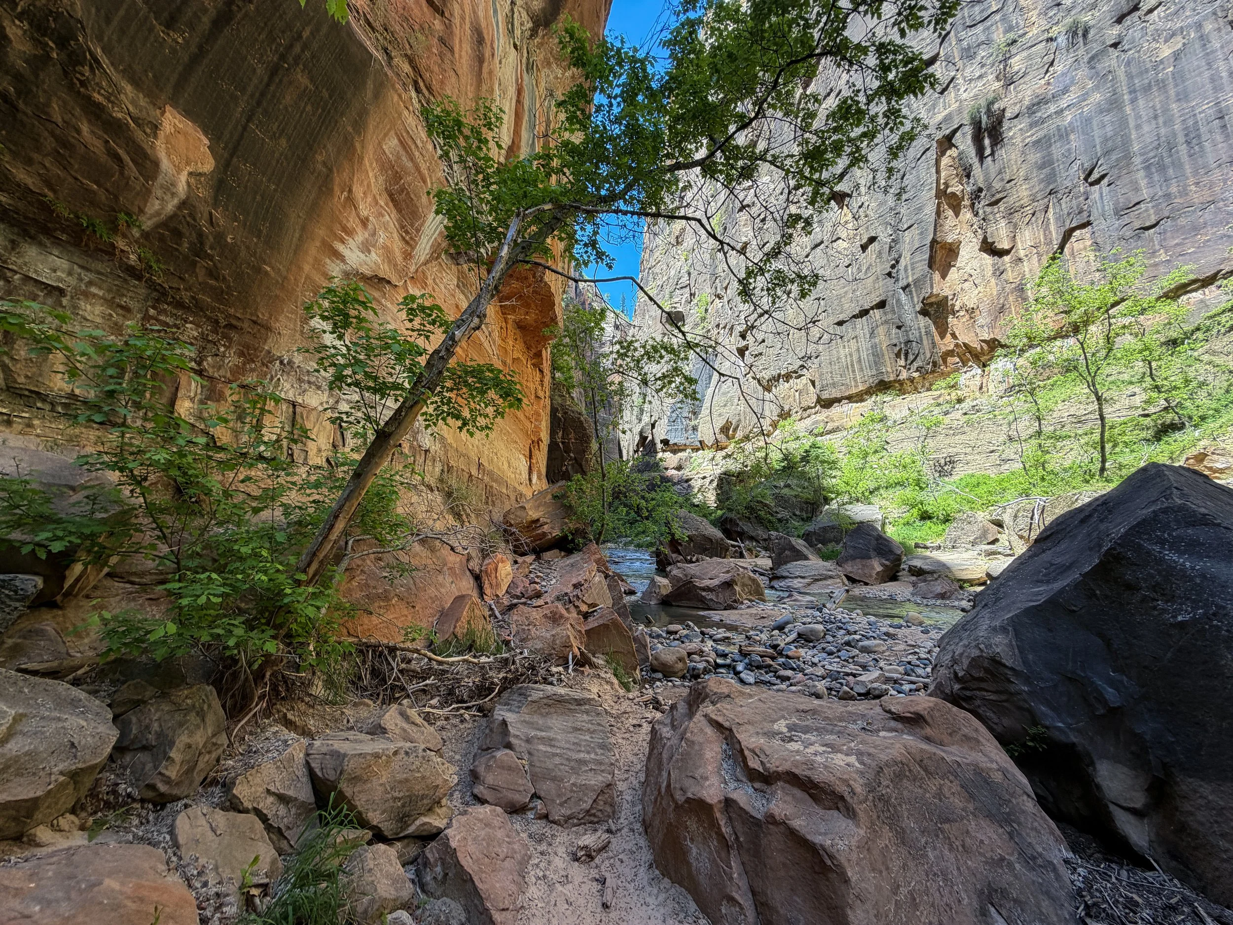 The Narrows Bottom-Up Hike to Big Springs Zion National Park Utah
