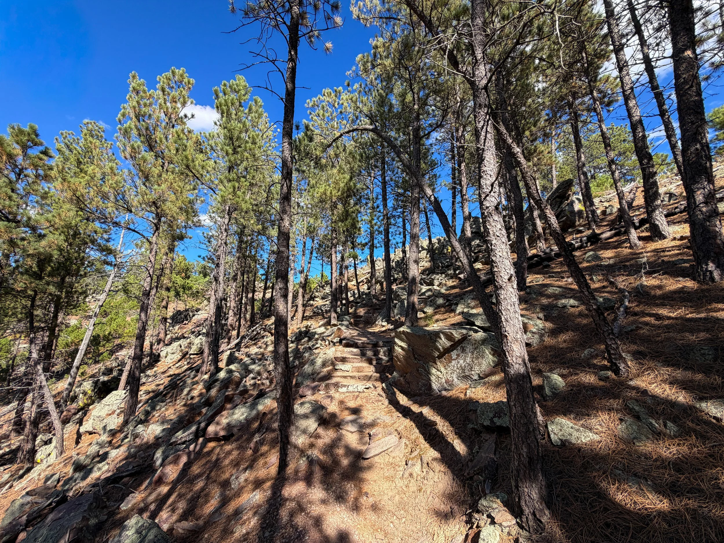 Rankin Ridge Nature Hike Wind Cave National Park South Dakota