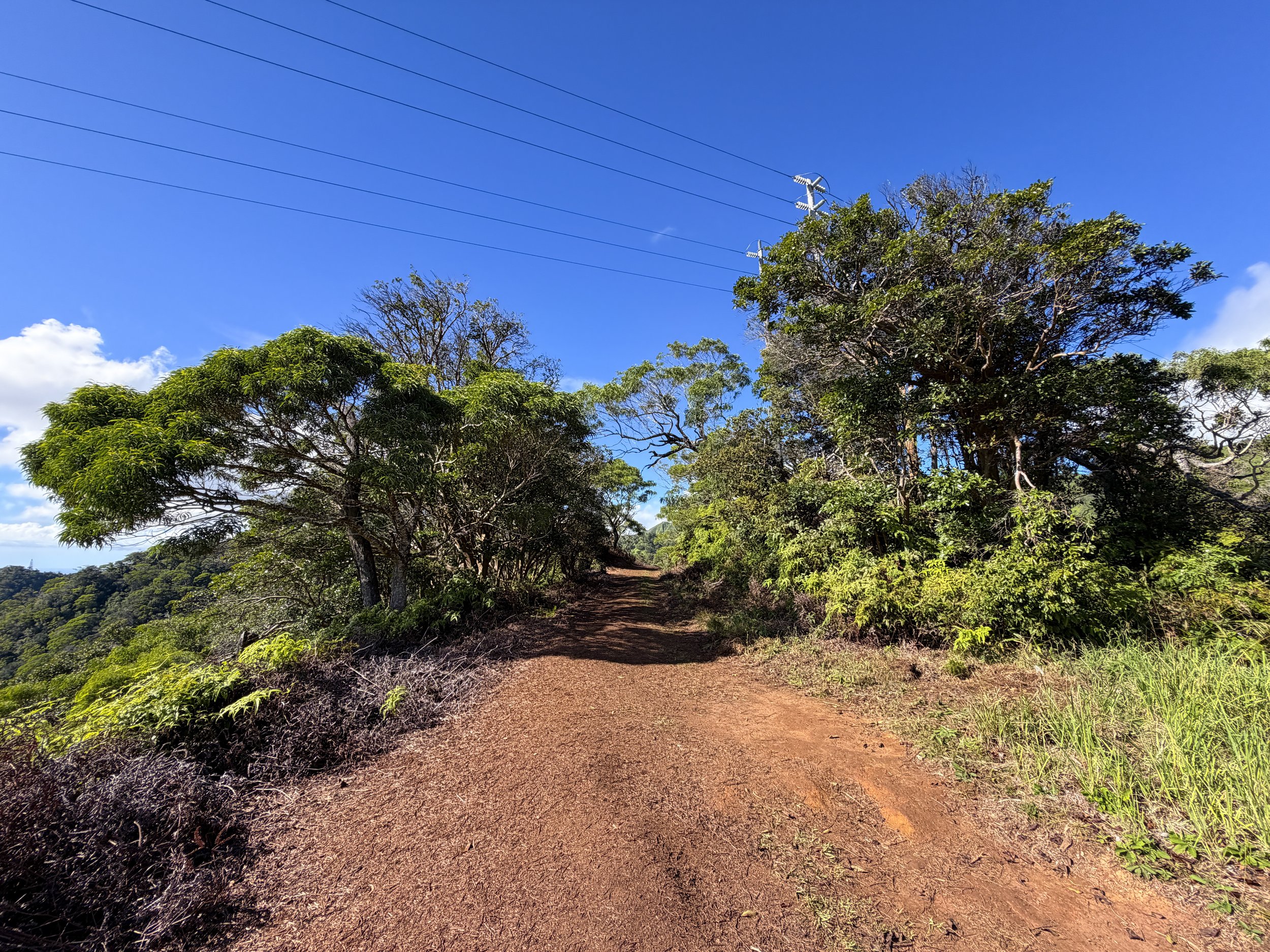 Wiliwilinui Ridge Trail Oahu Hawaii