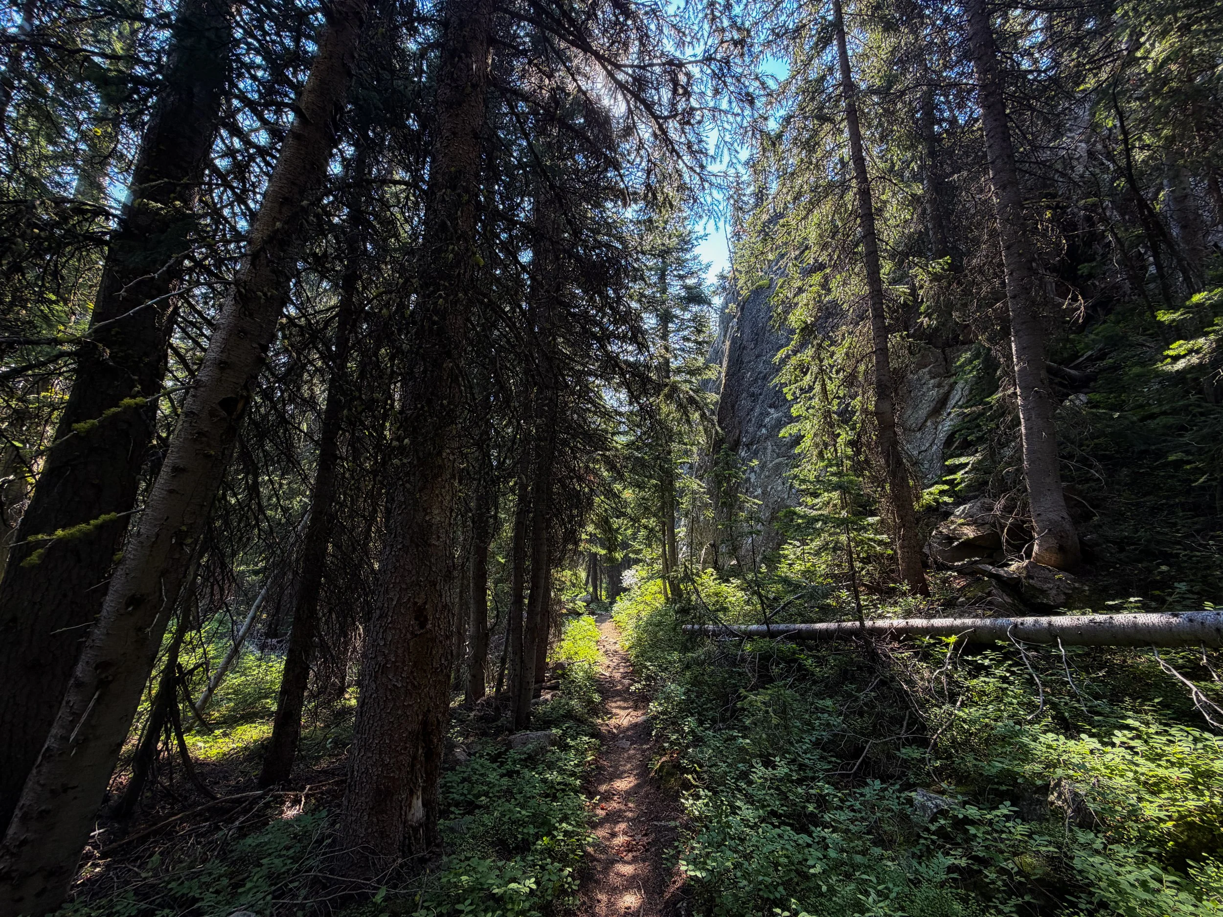 East Rosebud Trail The Beaten Path Beartooth Mountains Montana
