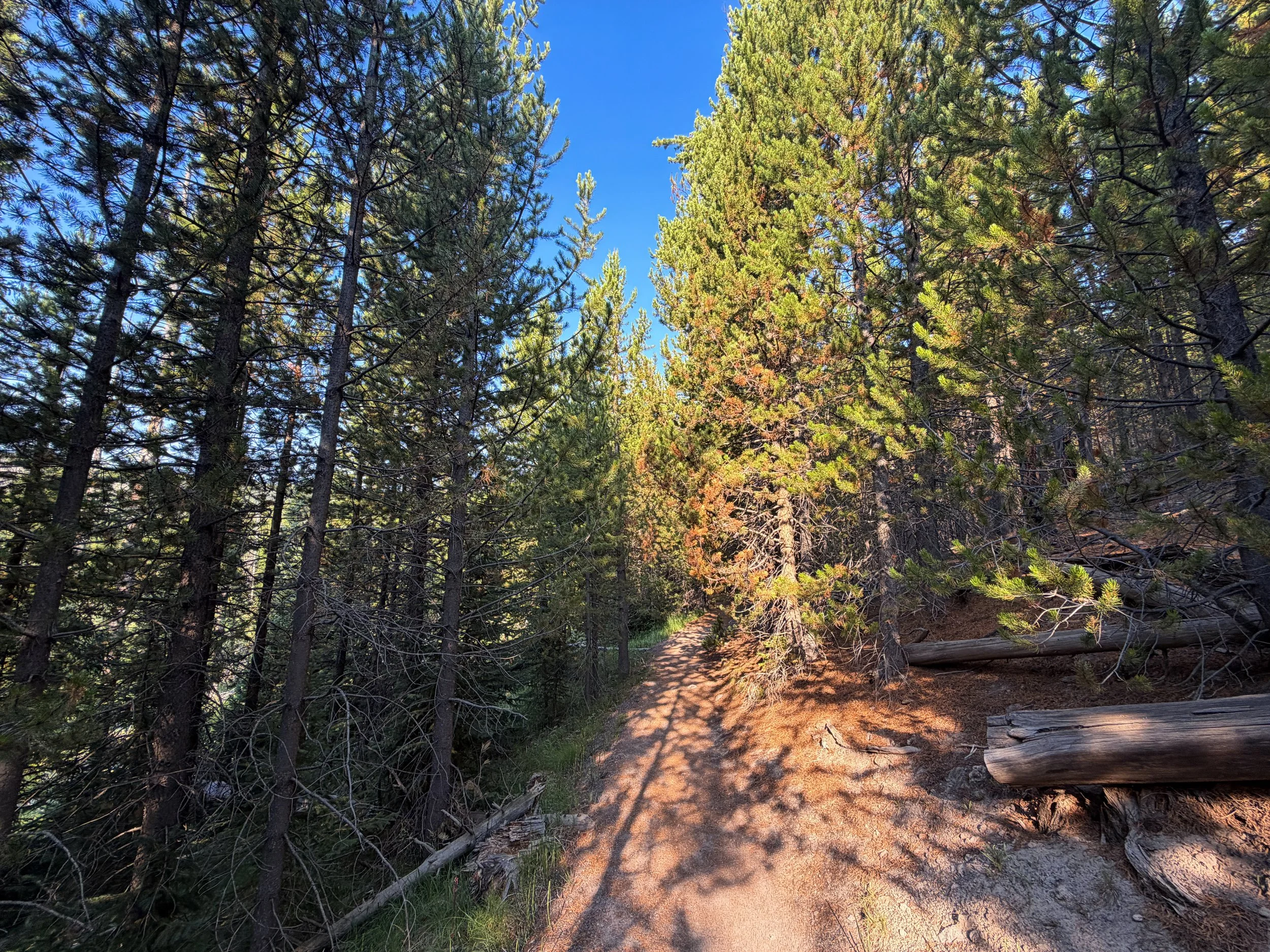 Mystic Falls Loop Trail Yellowstone National Park Wyoming