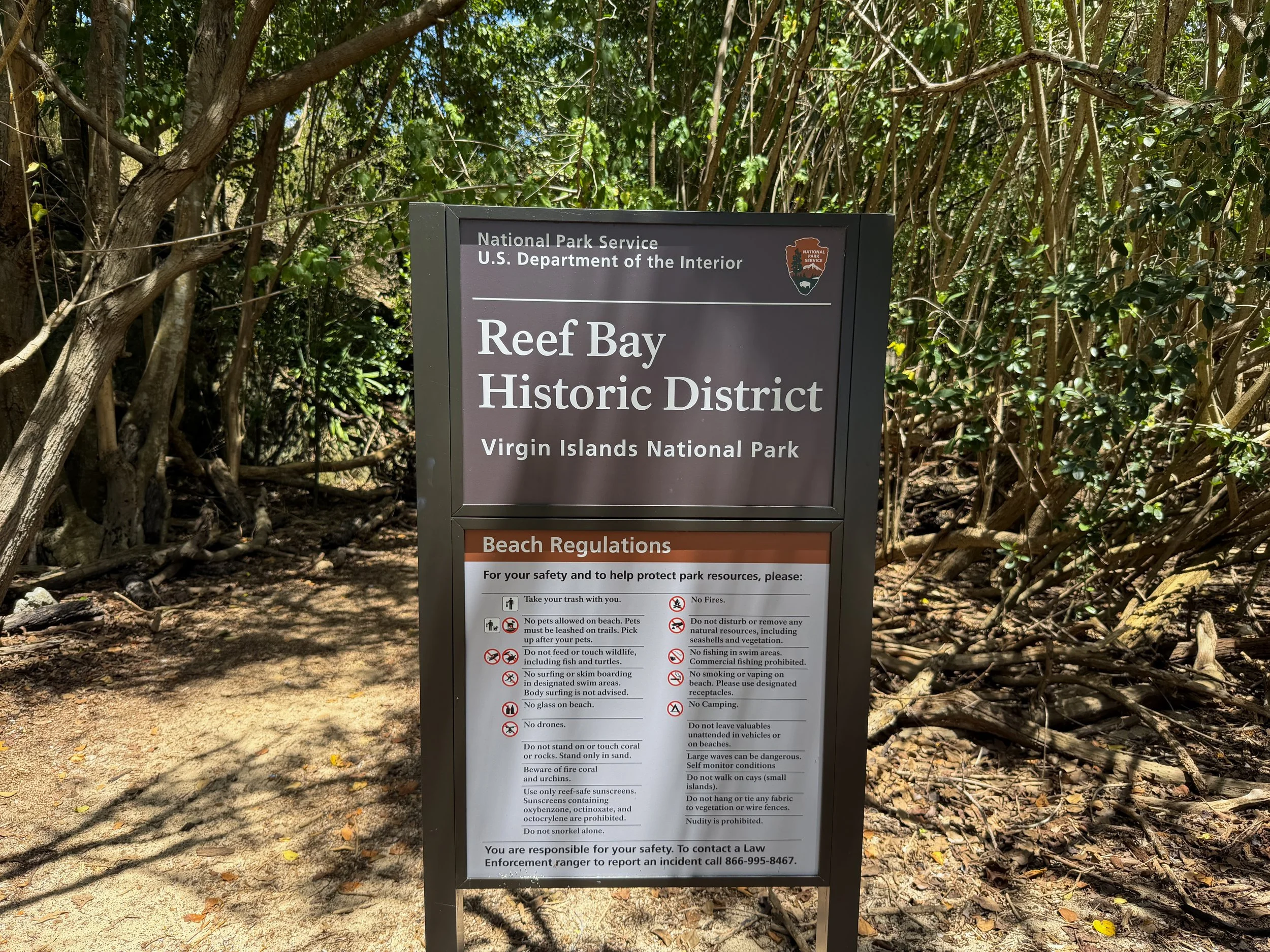 Reef Bay Beach Virgin Islands National Park