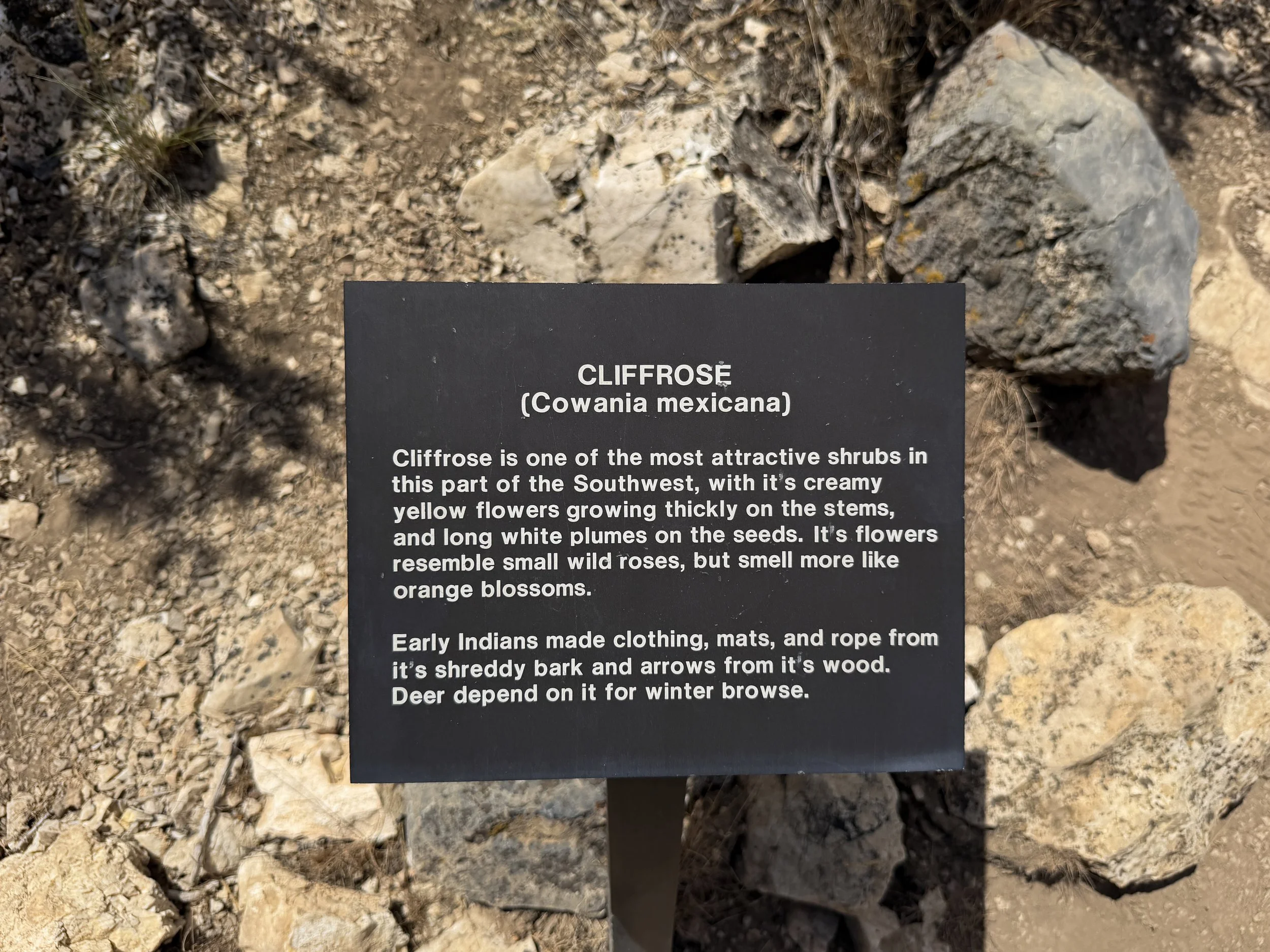 Mountain View Nature Trail Great Basin National Park Nevada