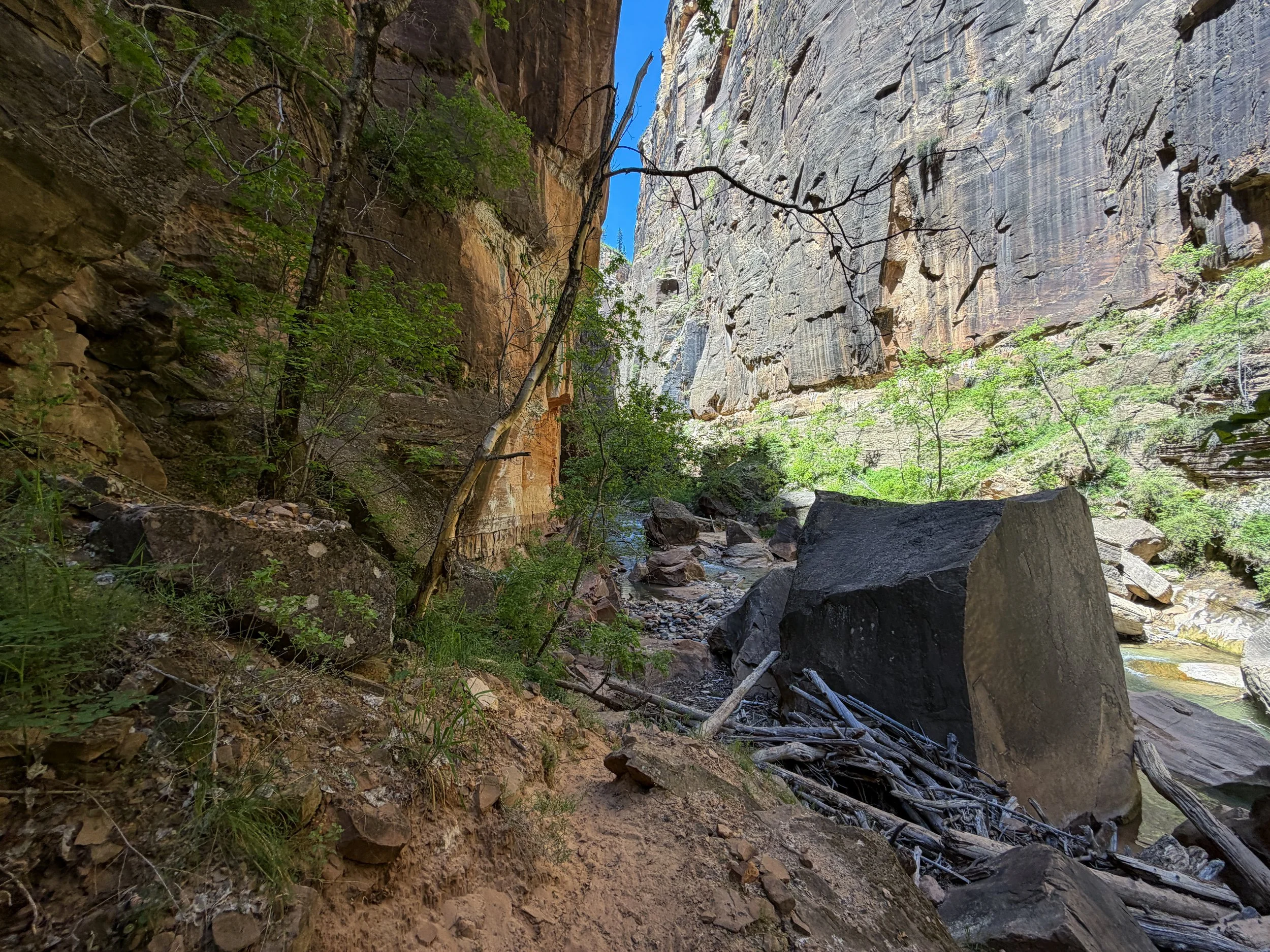 Narrows Bottom-Up Hike to Big Springs Zion National Park Utah