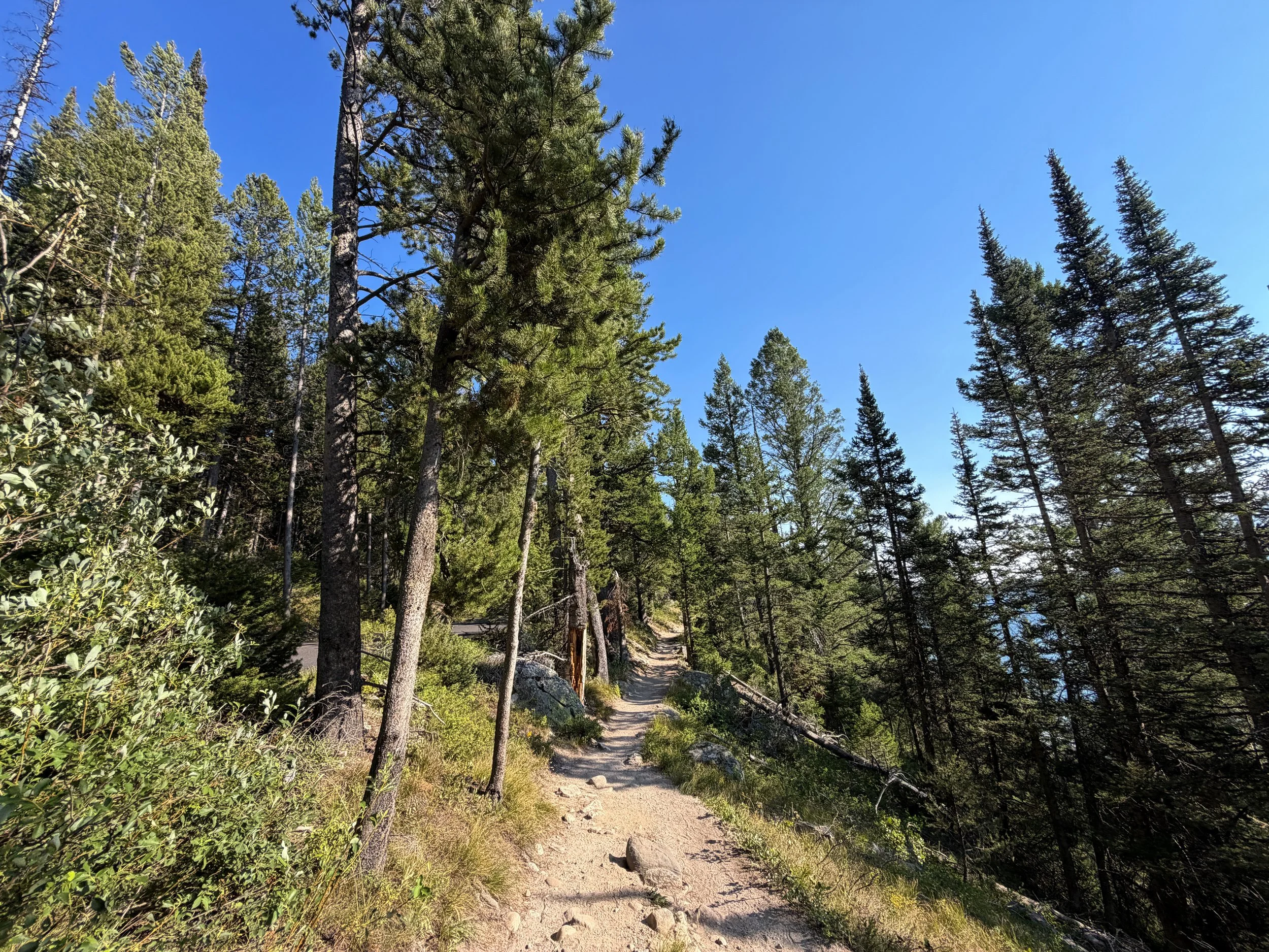 Jenny Lake Loop Trail Grand Teton National Park Wyoming