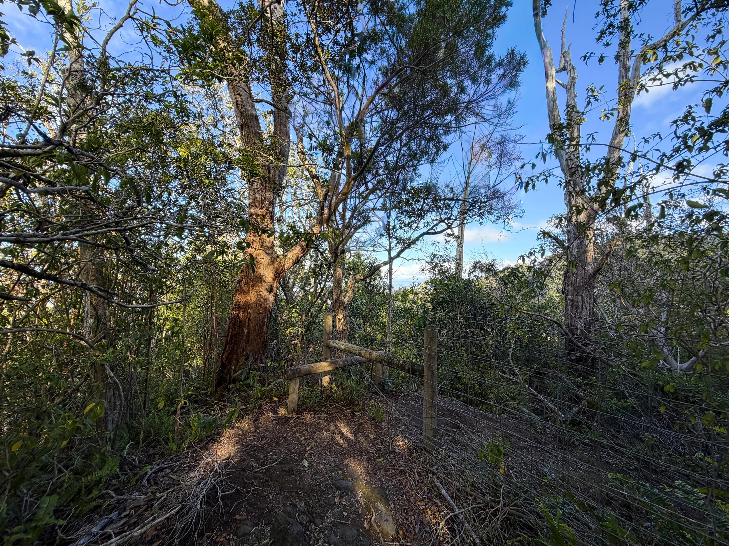 Mokuleia Trail Oahu Hawaii