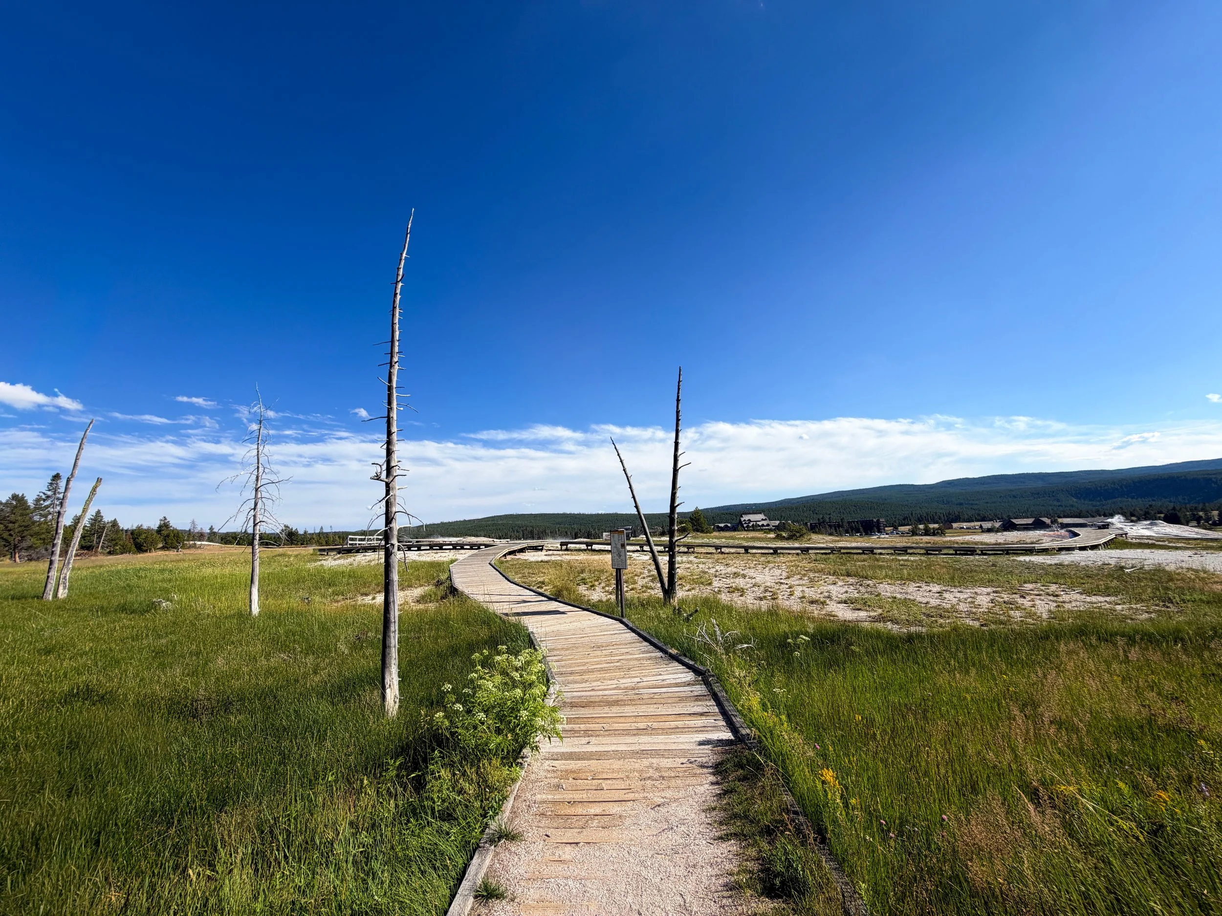 Observation Point Loop Trail Yellowstone National Park Wyoming