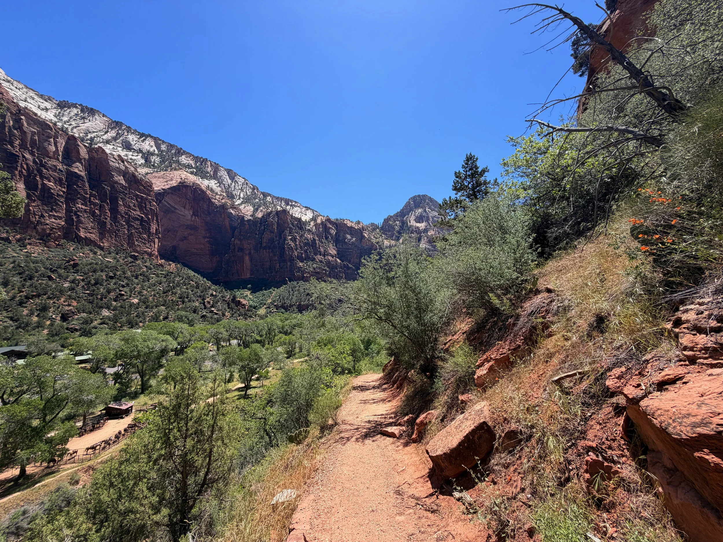 Emerald Pools Trail Zion National Park Utah