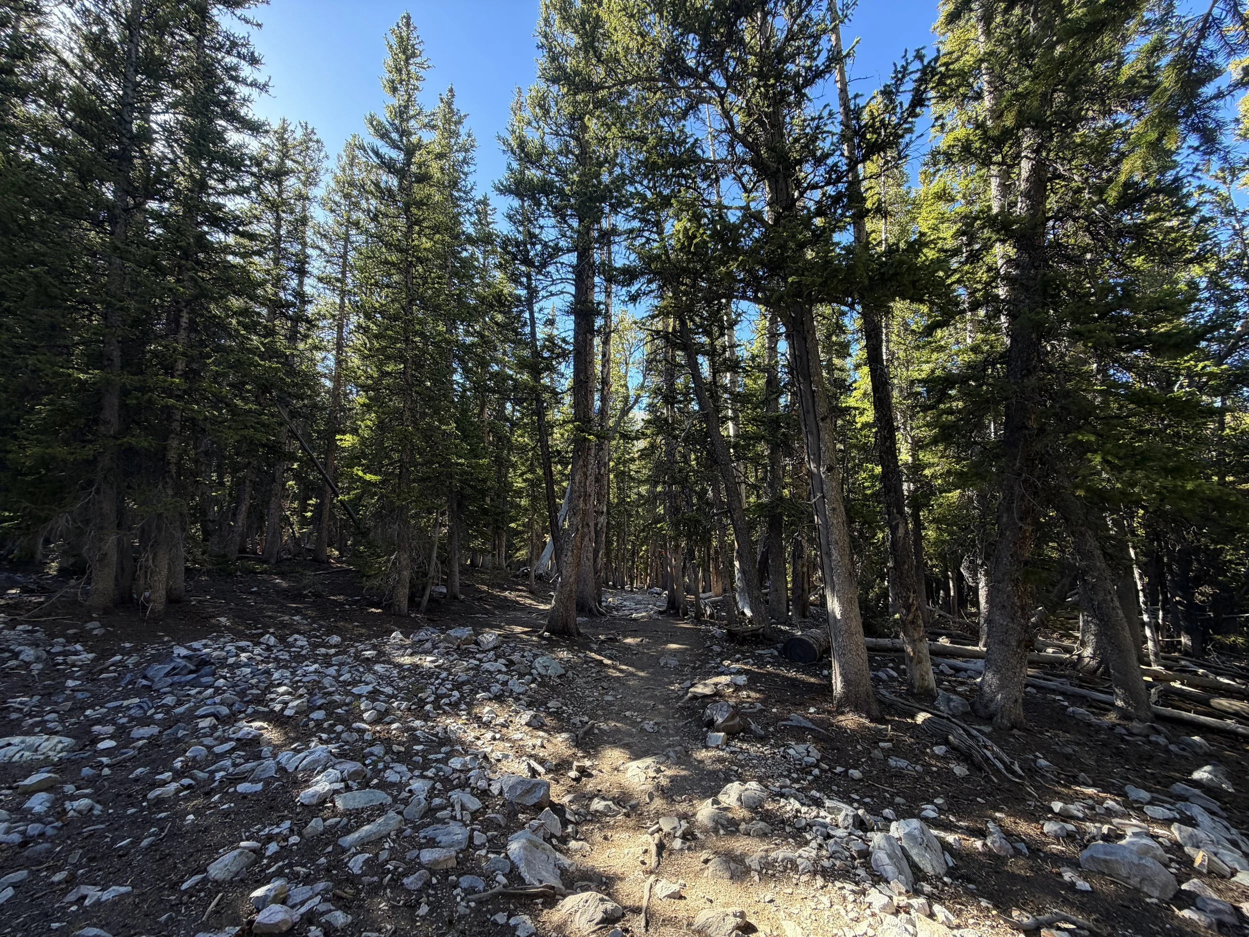 Alpine Lakes Loop Trail Great Basin National Park Nevada