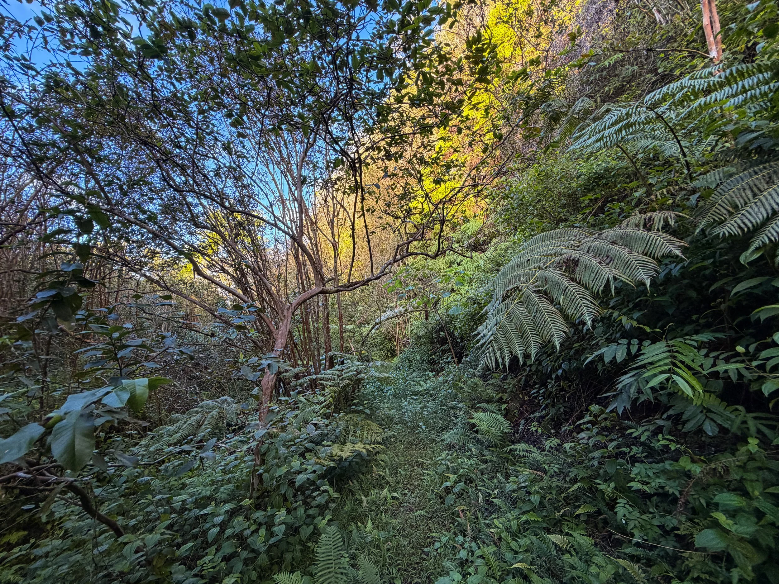 Mokuleia Hike Oahu Hawaii