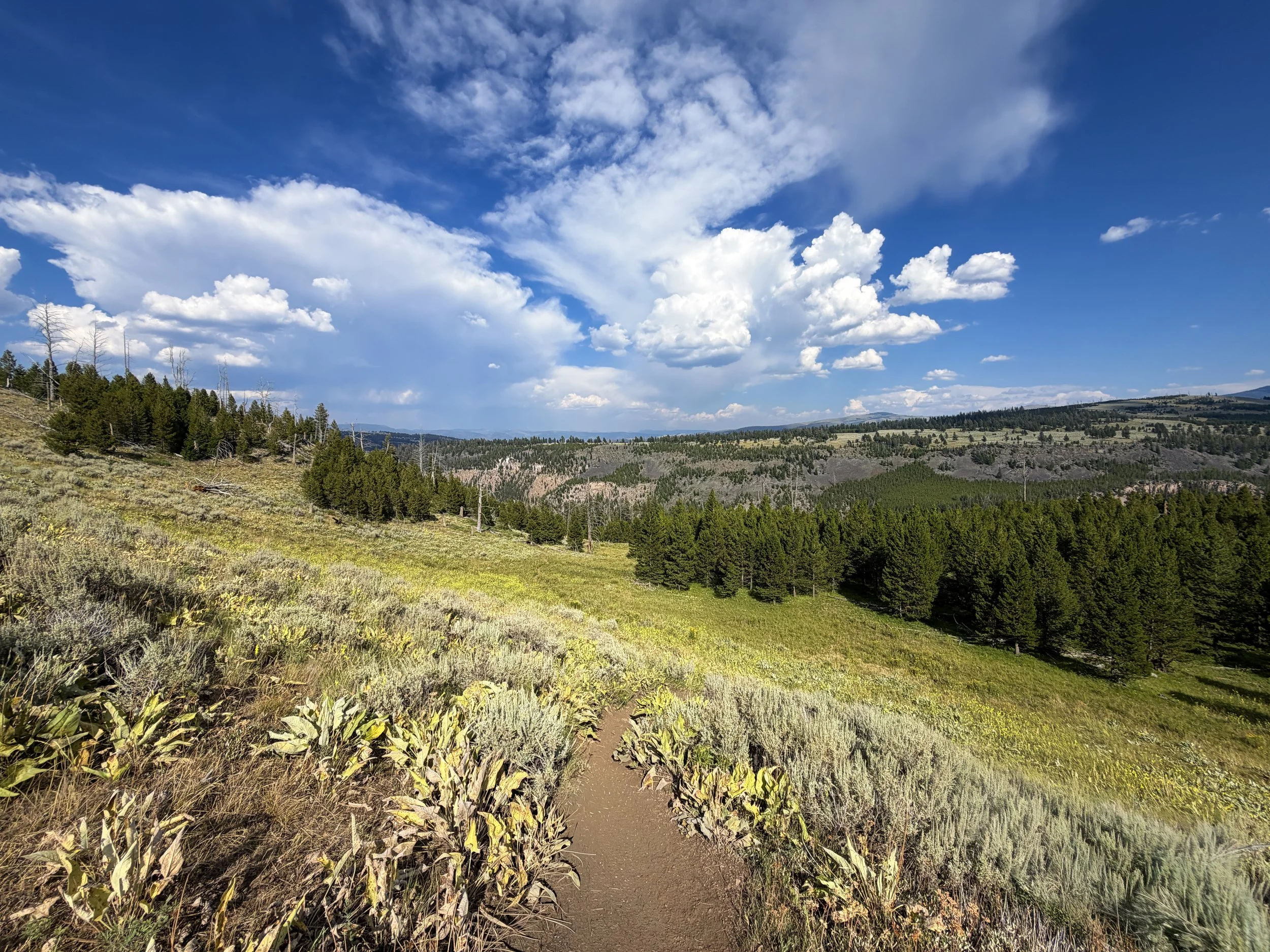 Bunsen Peak Trail Yellowstone National Park Wyoming