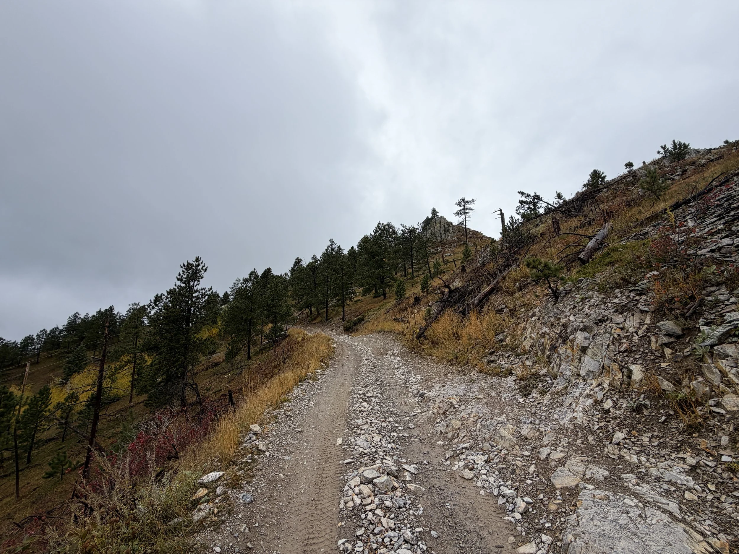 Custer Peak Fire Lookout Hike Black Hills South Dakota