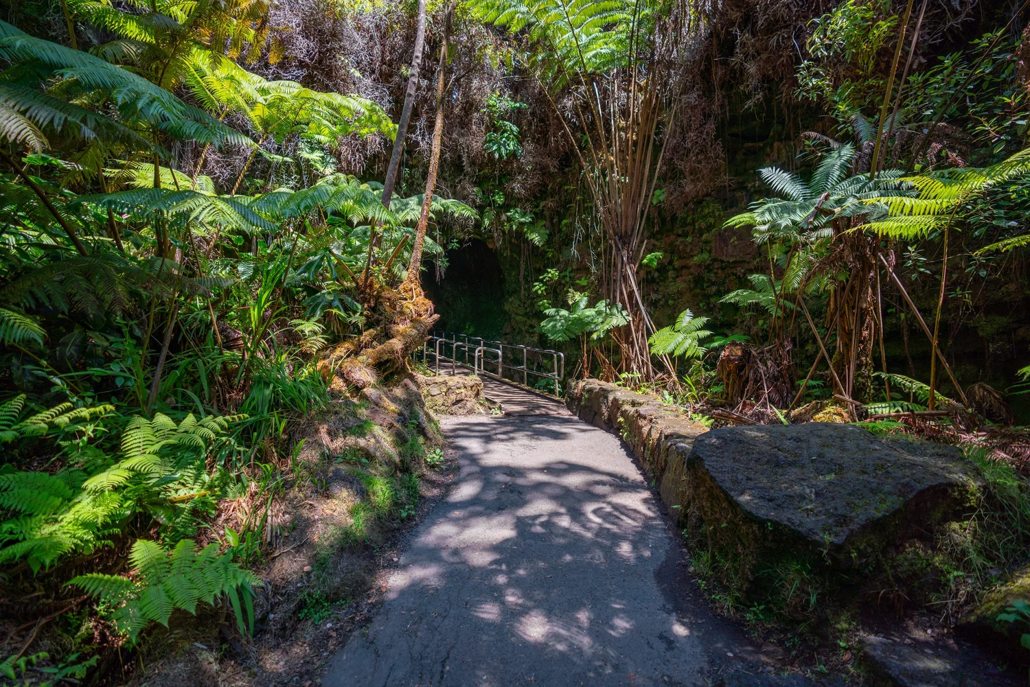 Hiking the Nāhuku (Thurston Lava Tube) Trail in Hawaiʻi Volcanoes ...