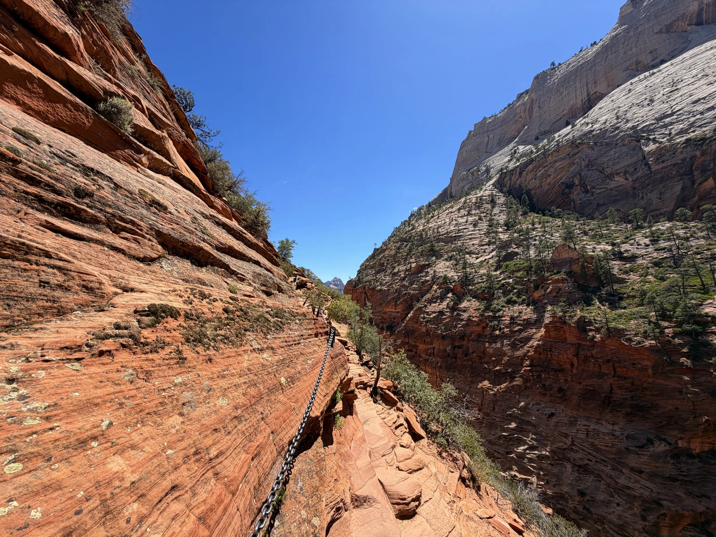 Angels Landing Trail Chains Zion National Park Utah