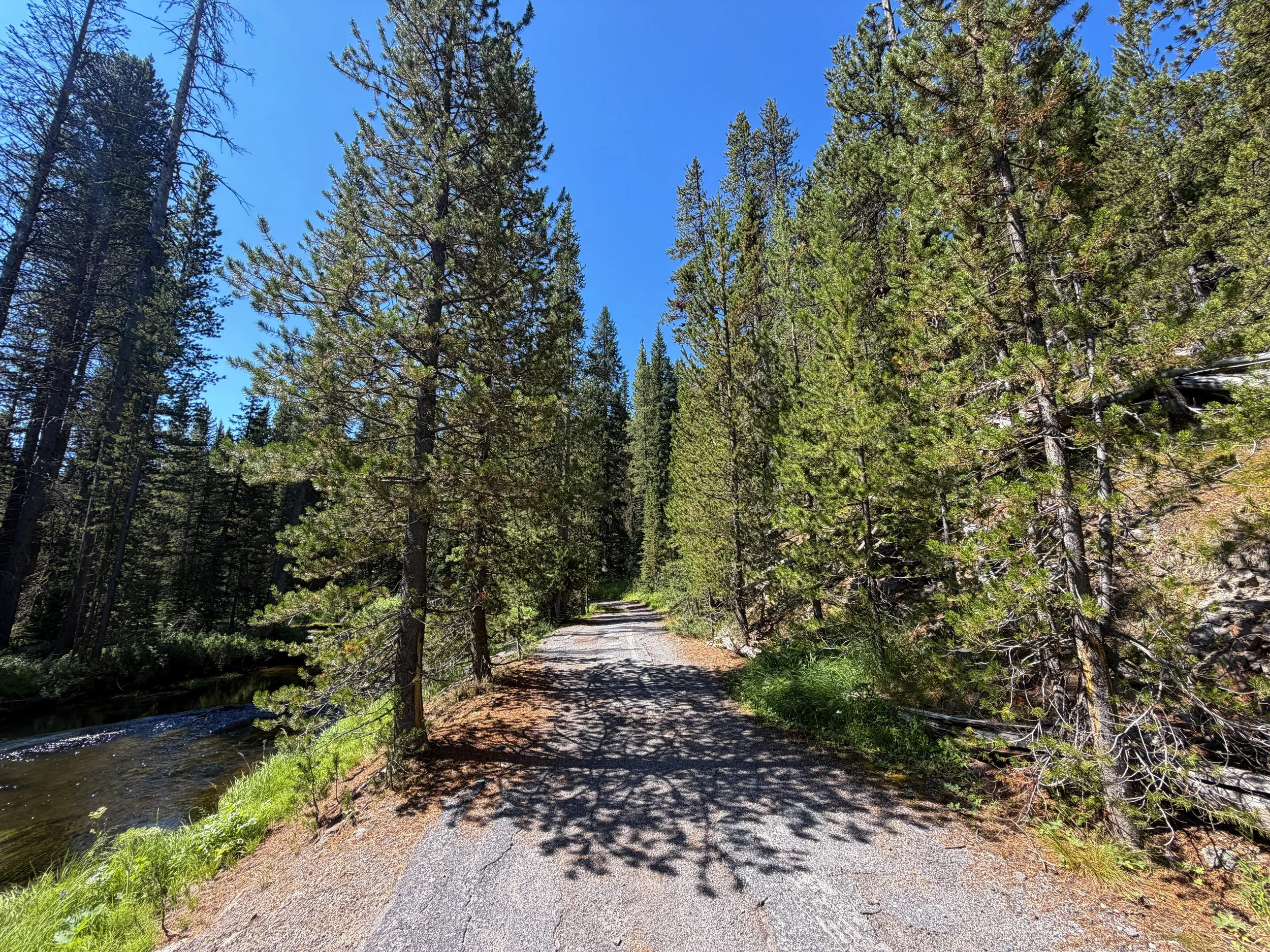 Lone Star Geyser Hike Yellowstone National Park Wyoming