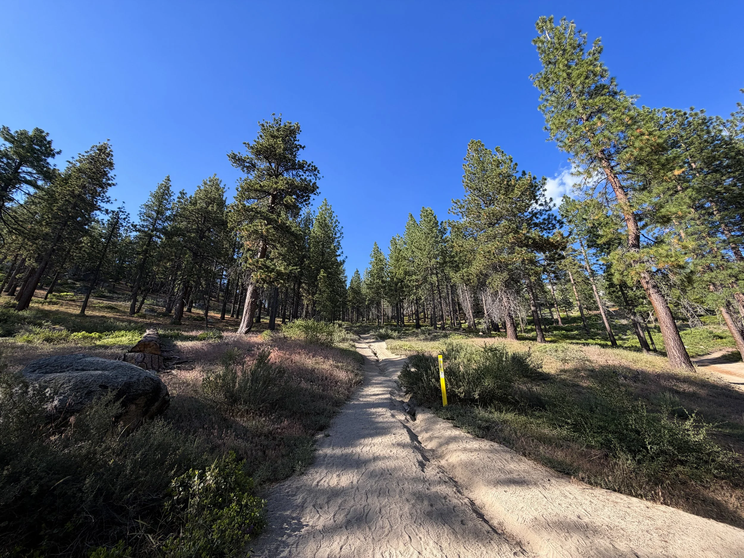 Monkey Rock Trail Lake Tahoe Nevada