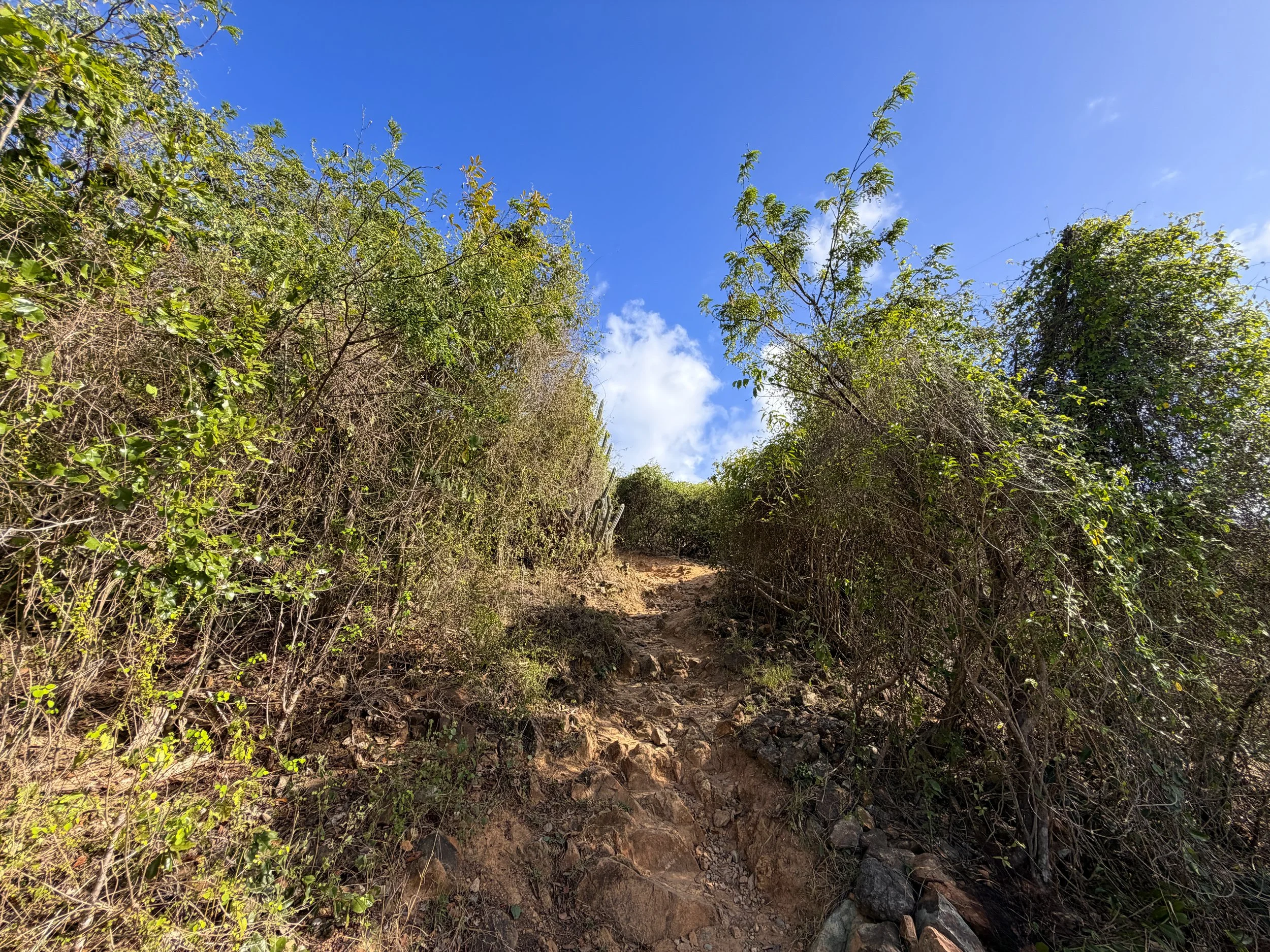 Ram Head Hike Virgin Islands National Park