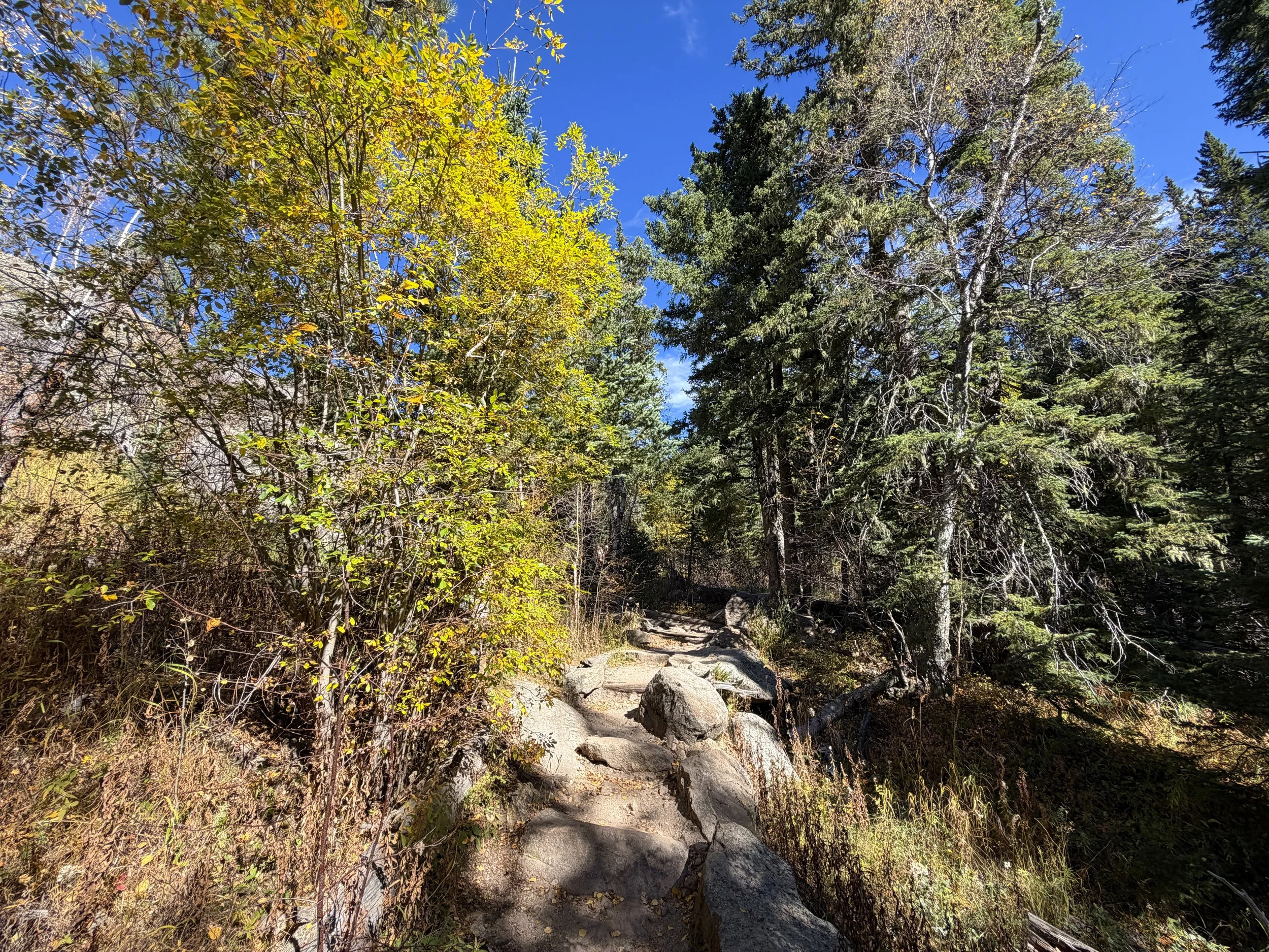 Black Elk Peak via Trail 9 Black Hills South Dakota