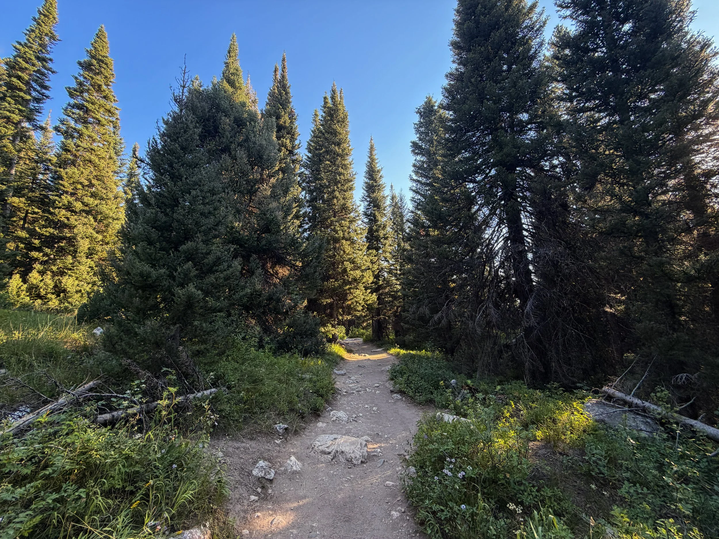 Hidden Falls via Jenny Lake Loop Trail Grand Teton National Park Wyoming