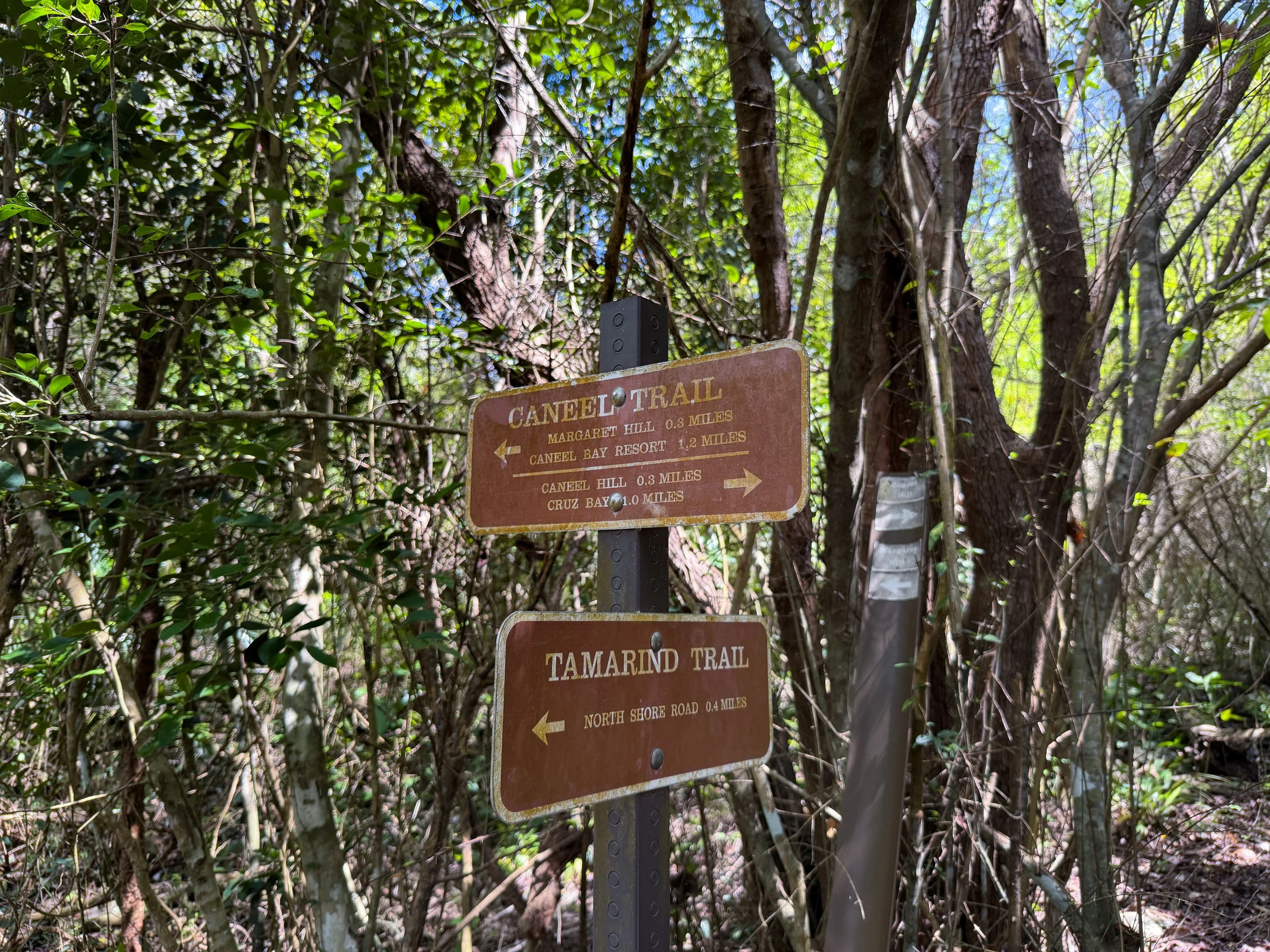 Caneel Hill Trail to Tamarind Tree Trail Virgin Islands National Park