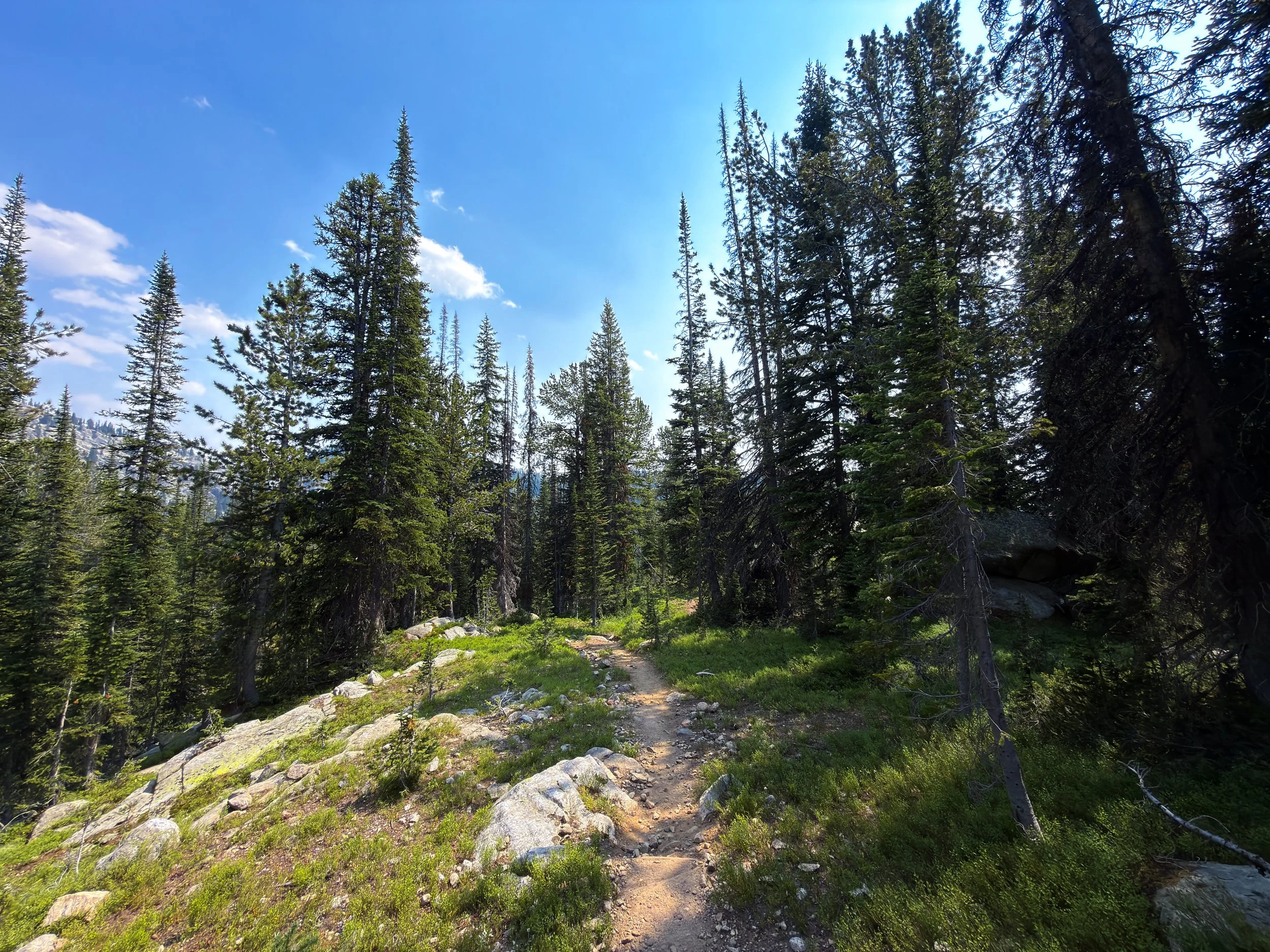 Russell Creek Trail The Beaten Path Beartooth Mountains Montana