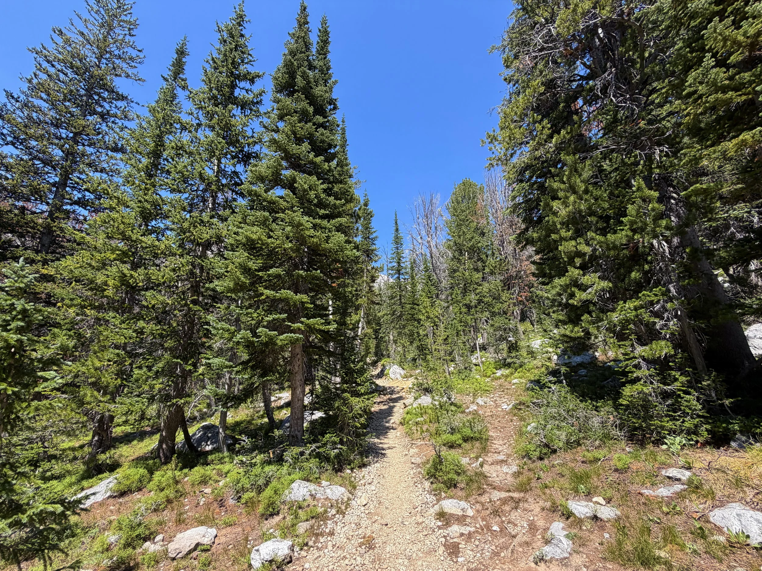 Surprise & Amphitheater Lakes Trail Grand Teton National Park Wyoming