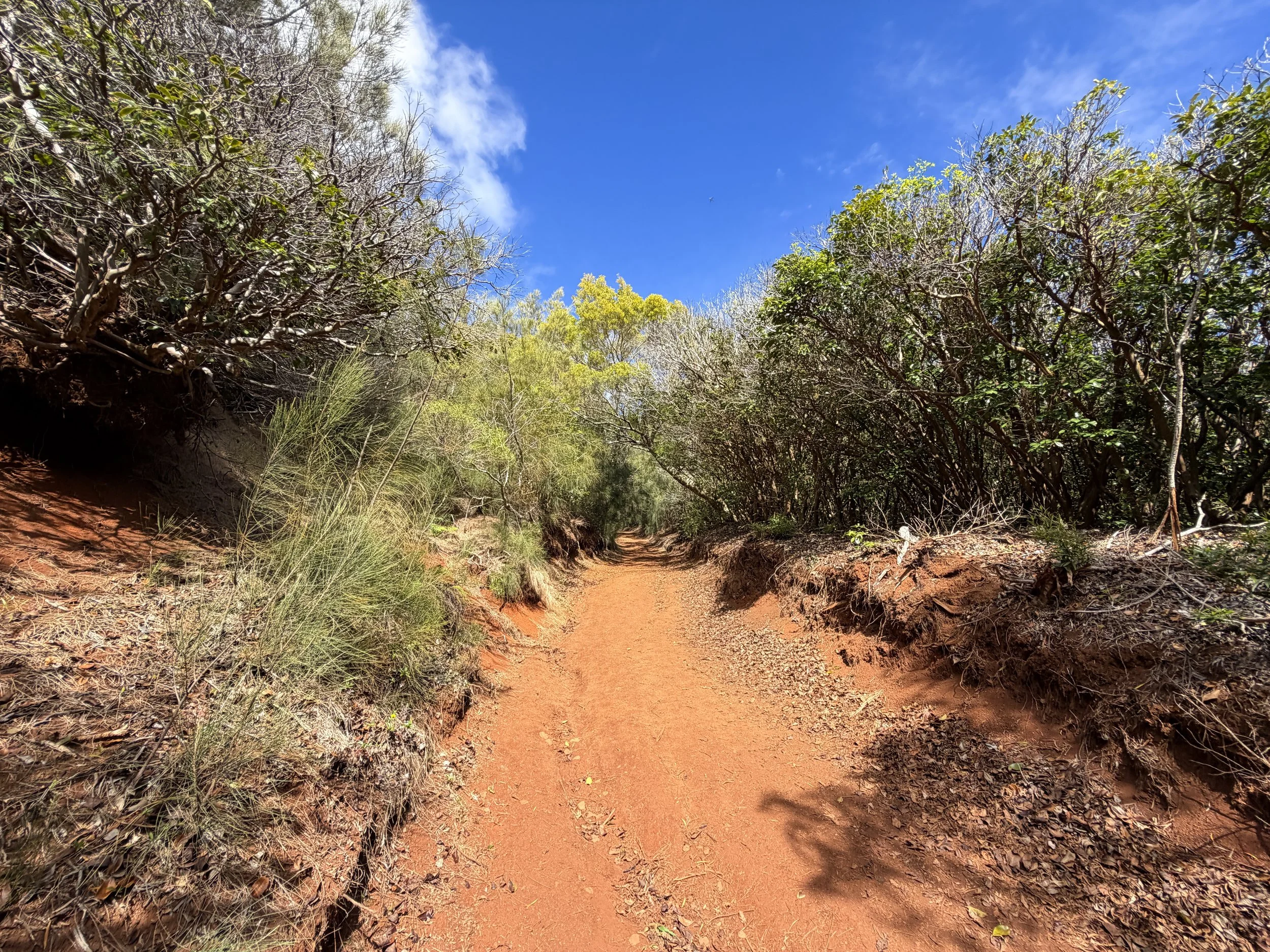 Wiliwilinui Ridge Trail Oahu Hawaii