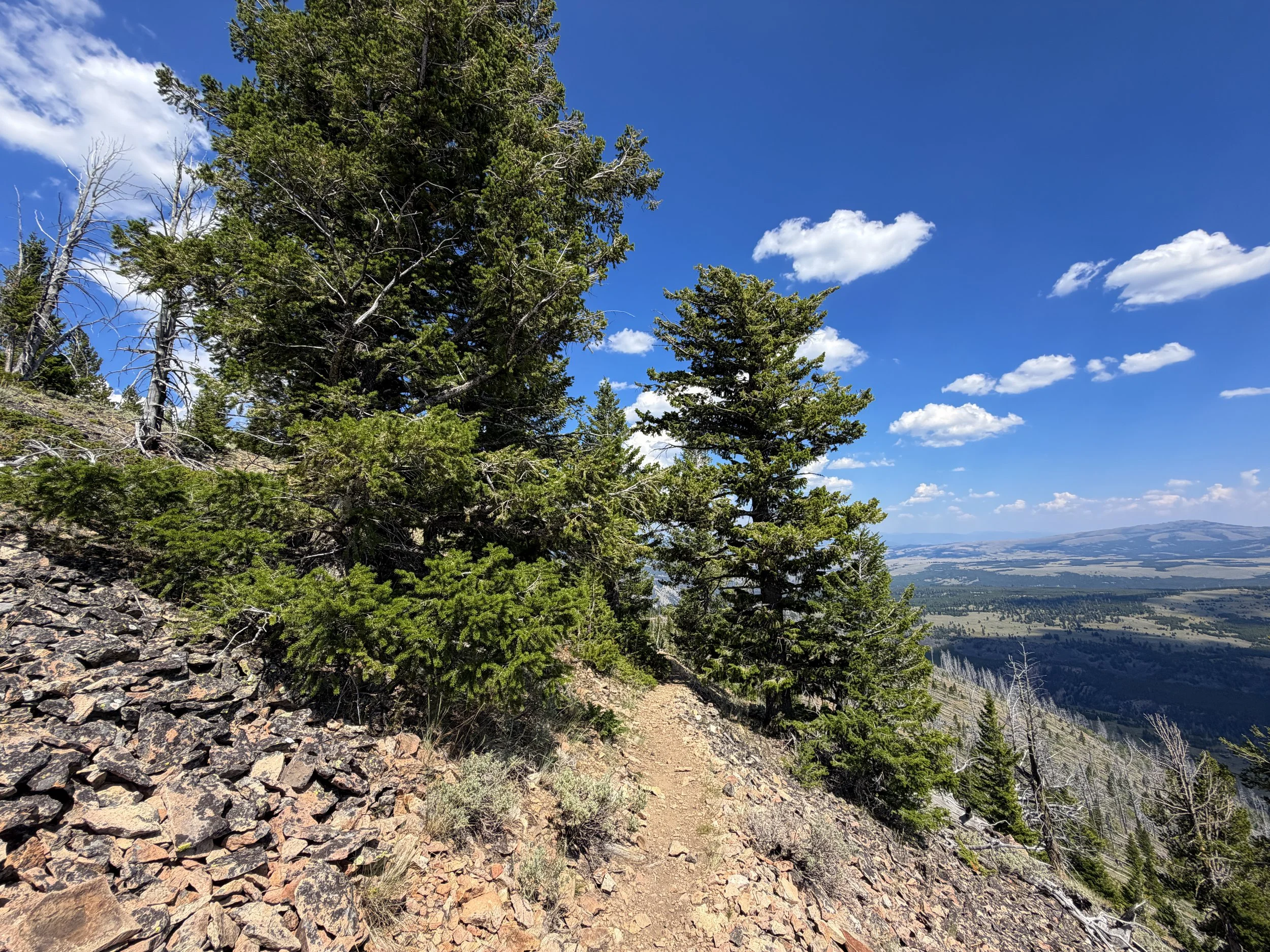 Bunsen Peak Loop Trail Yellowstone National Park Wyoming