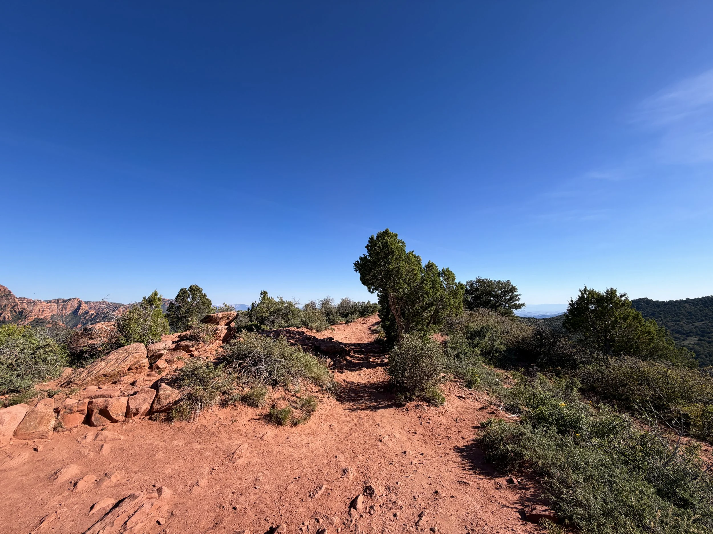 Timber Creek Overlook Trail Zion National Park Utah