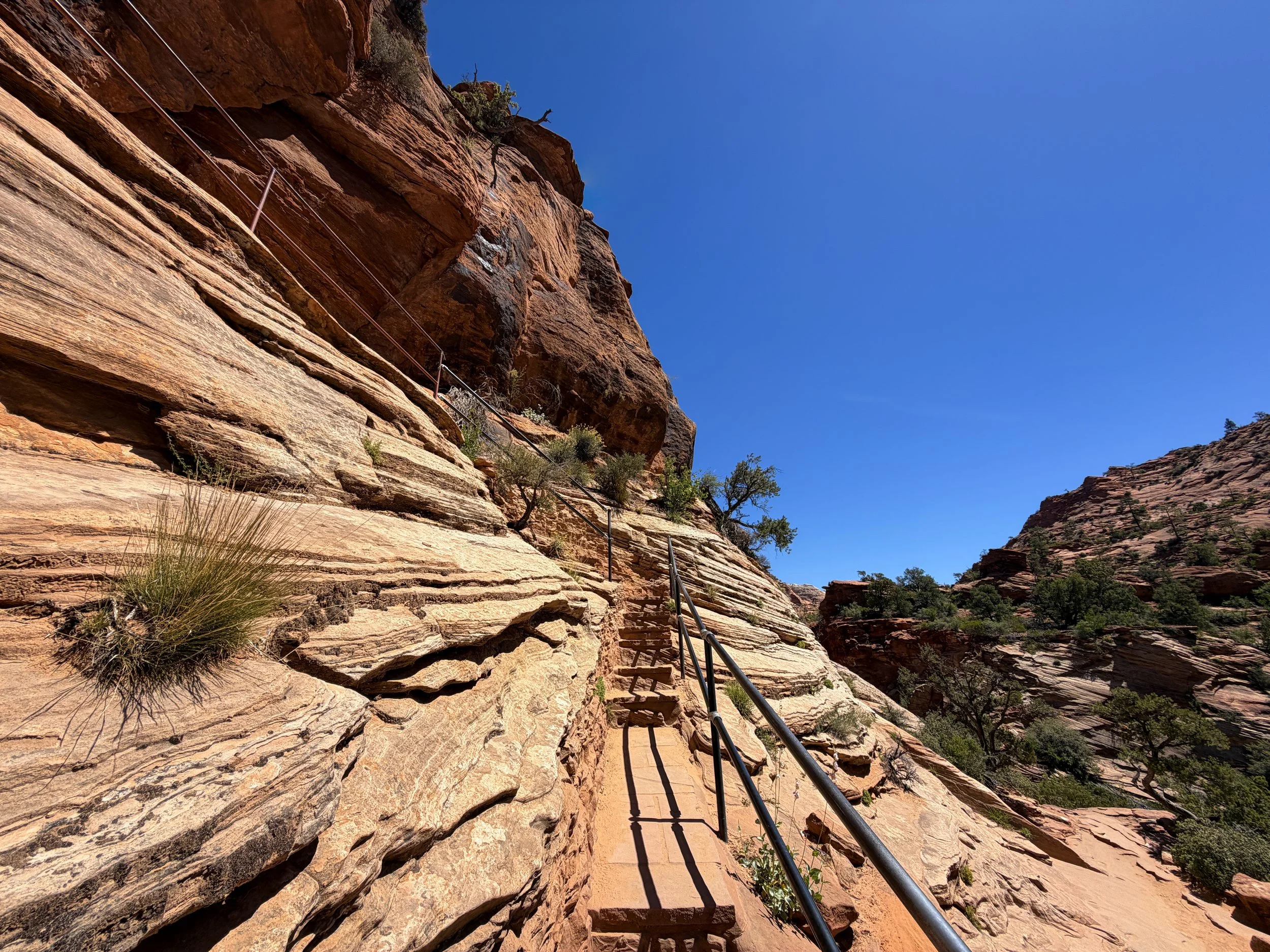 Canyon Overlook Trail Zion National Park Utah
