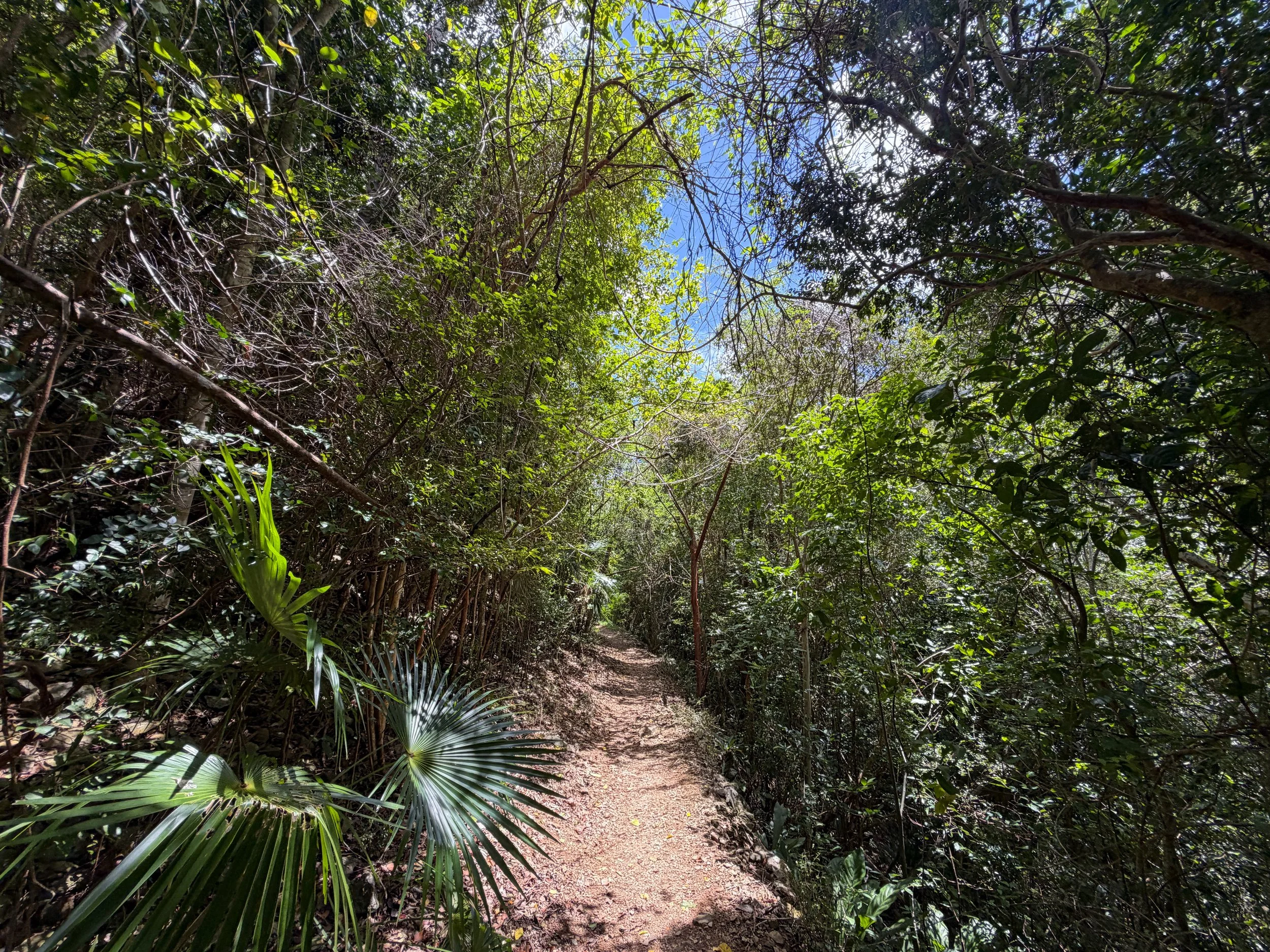 Reef Bay Trail Virgin Islands National Park