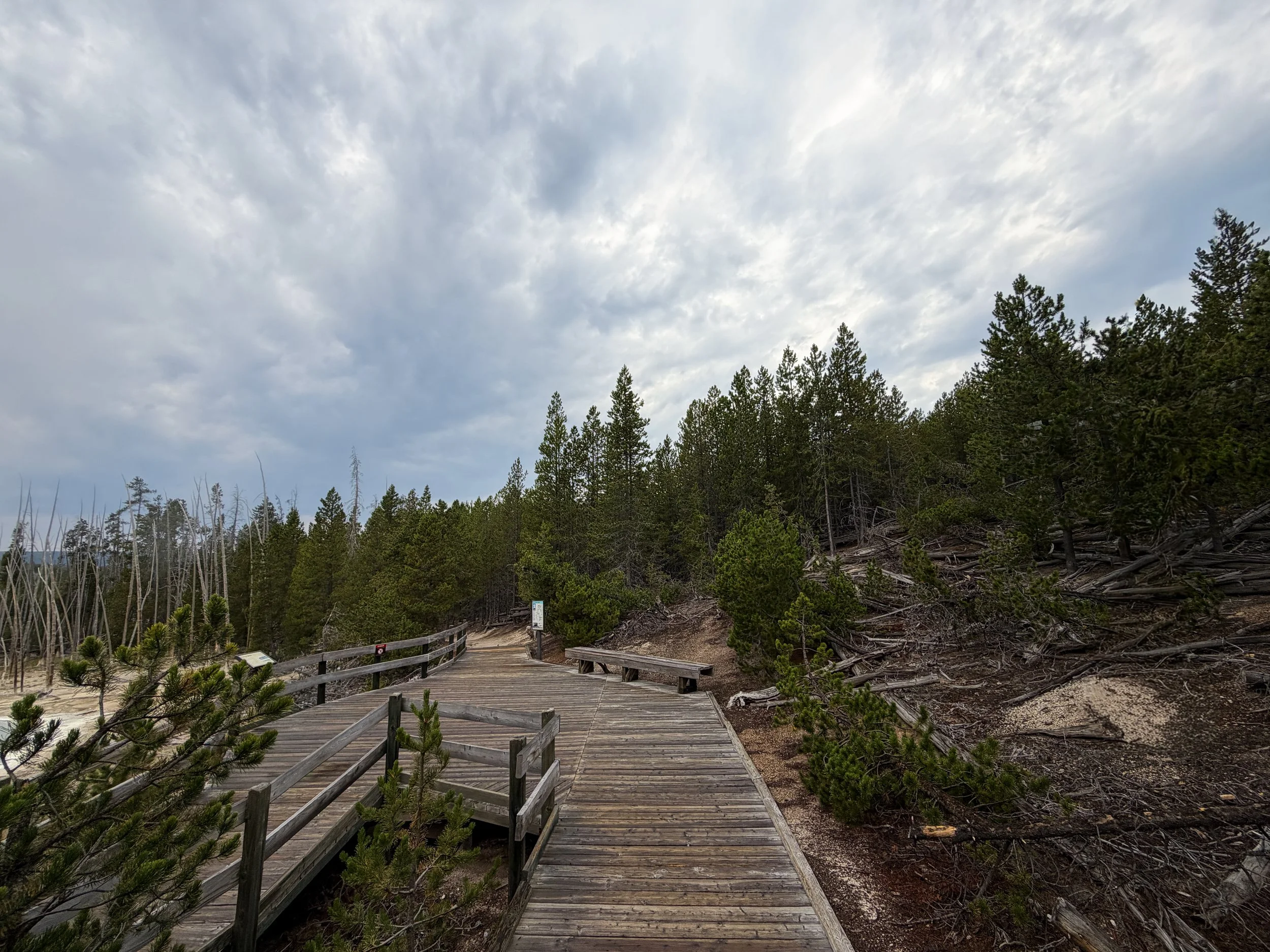 Back Basin Trail Norris Geyser Basin Yellowstone National Park Wyoming