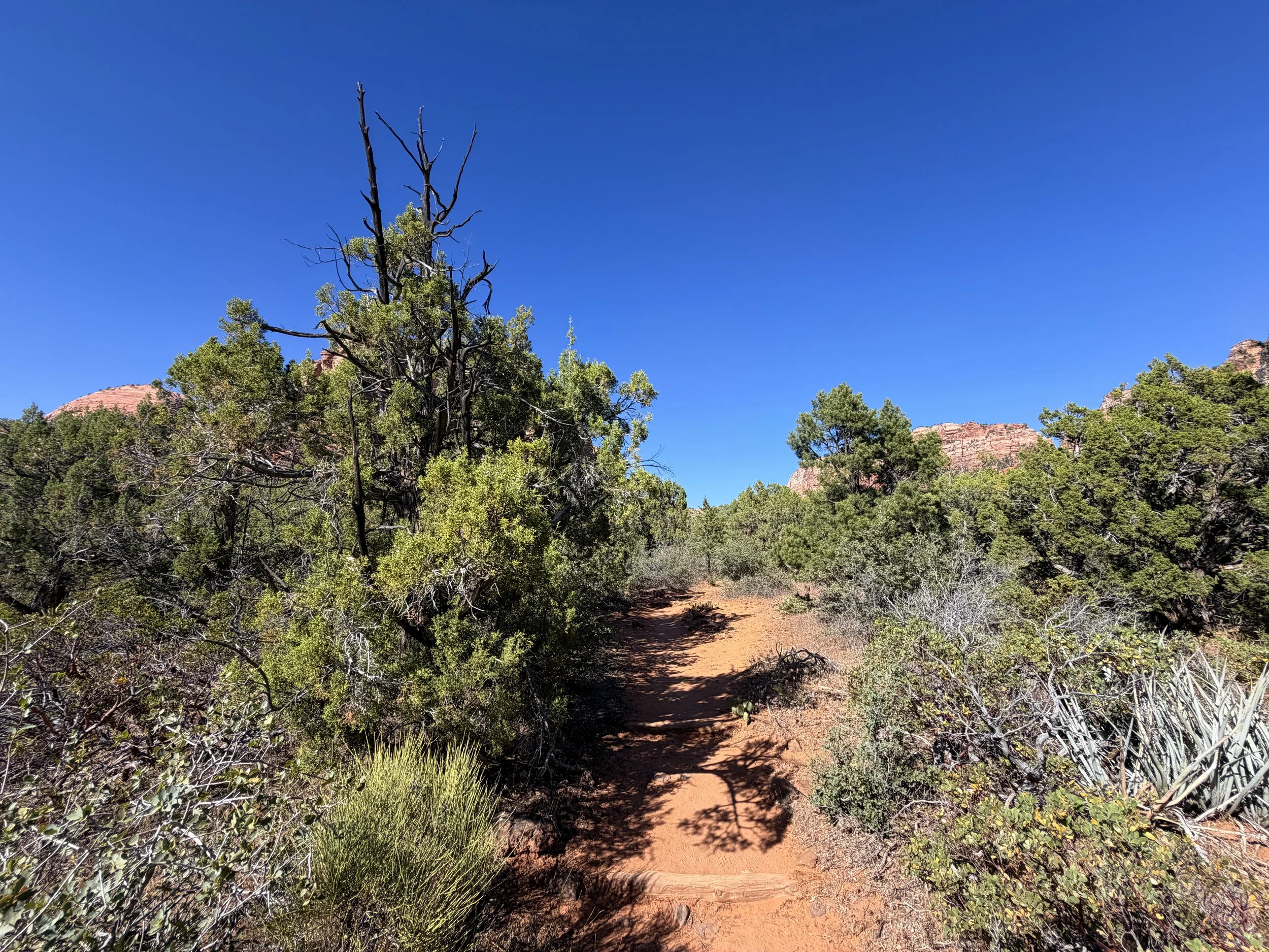 Subway Trail Zion National Park Utah