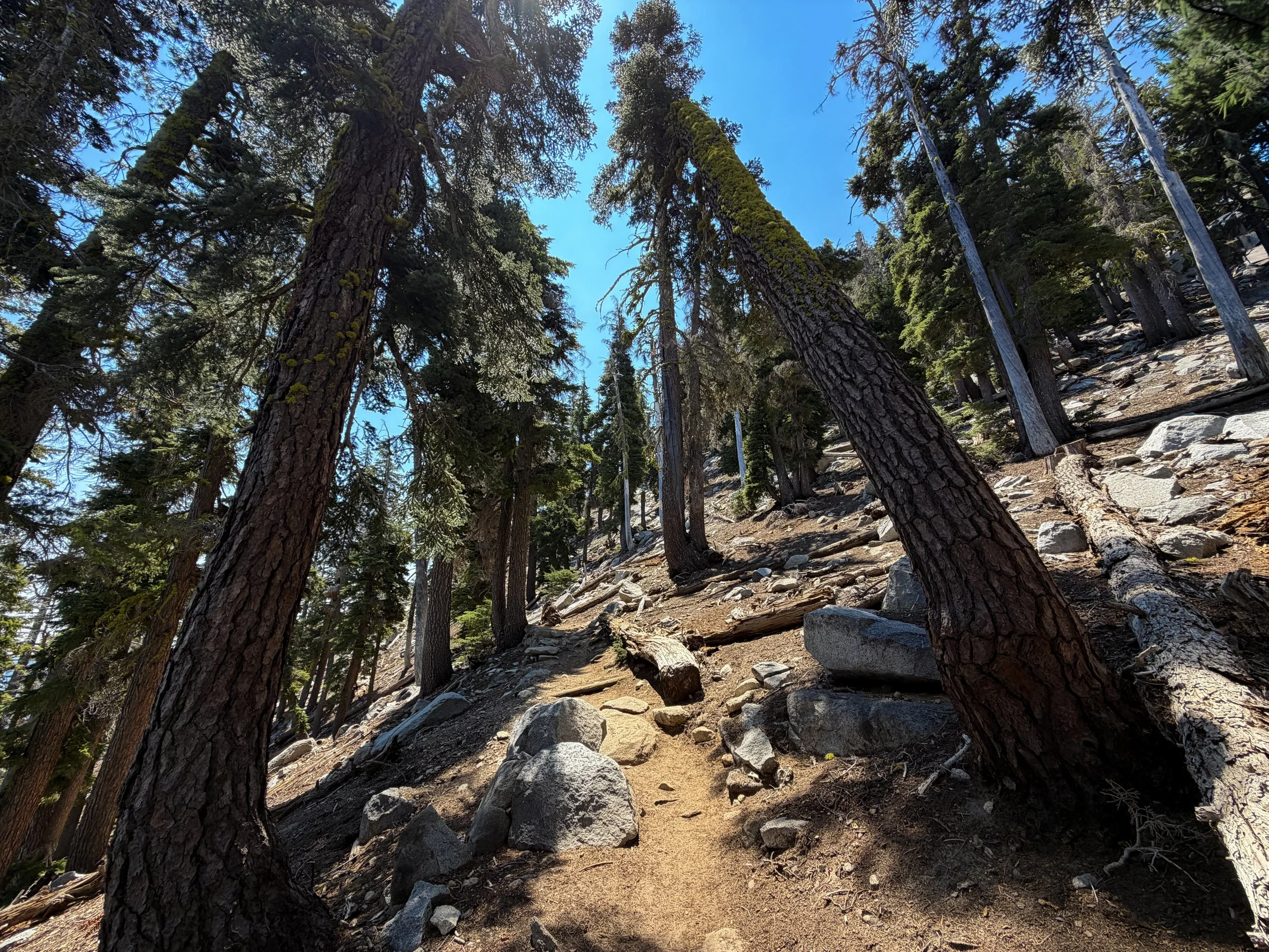 Maggies Peak Hike Lake Tahoe California