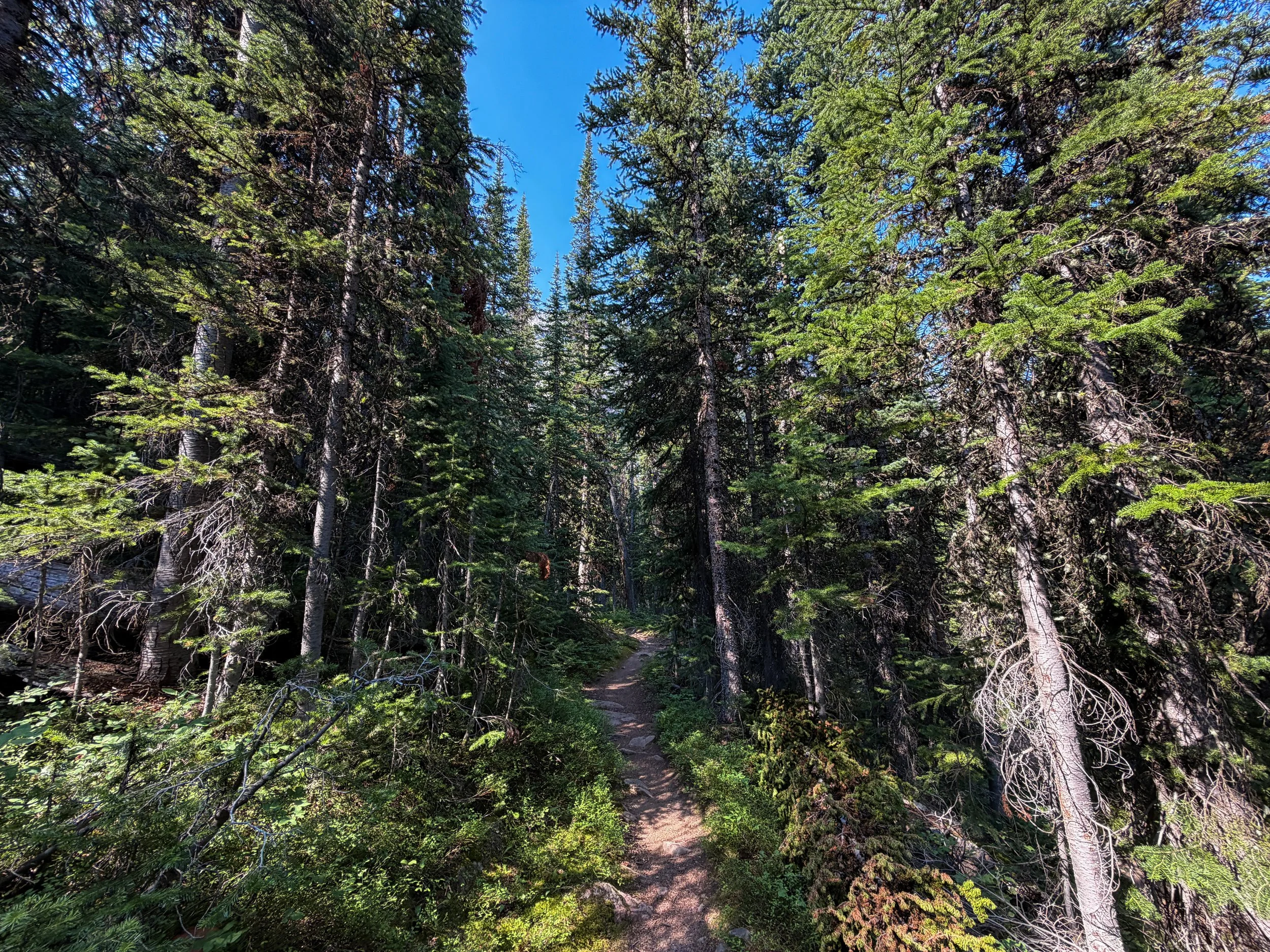 East Rosebud Trail The Beaten Path Beartooth Mountains Montana