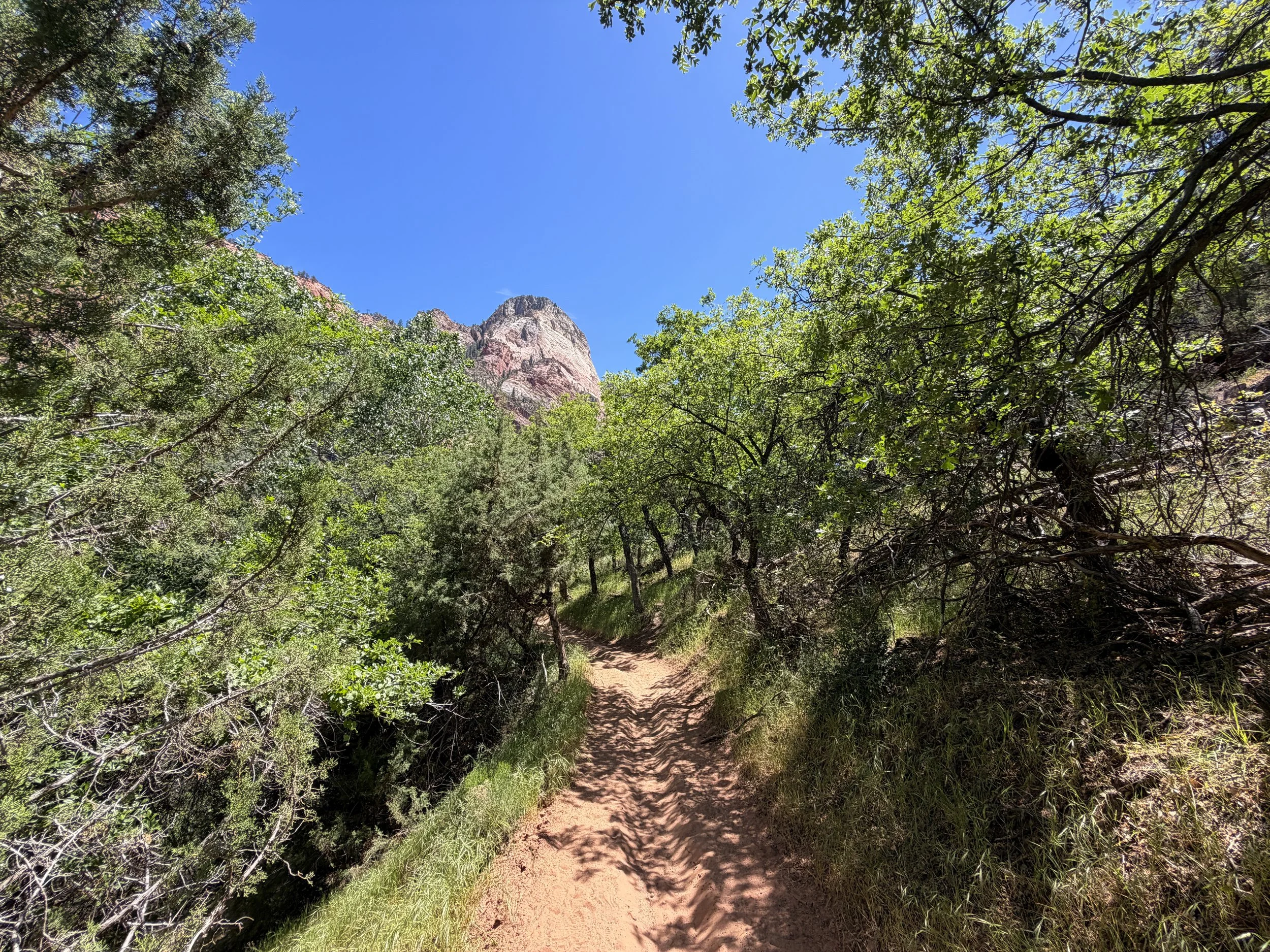 Sand Bench Loop Trail via Zion Lodge Zion National Park Utah