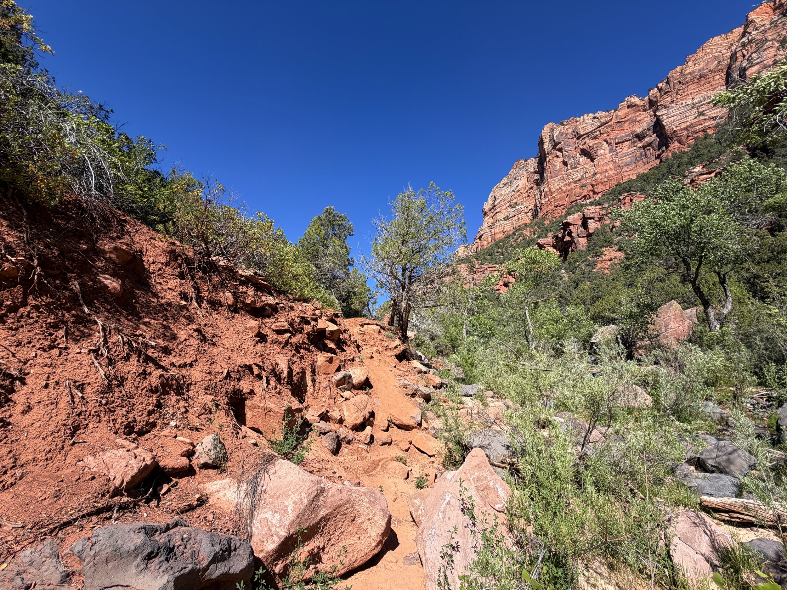 Subway Hike Bottom–Up Route Zion National Park Utah