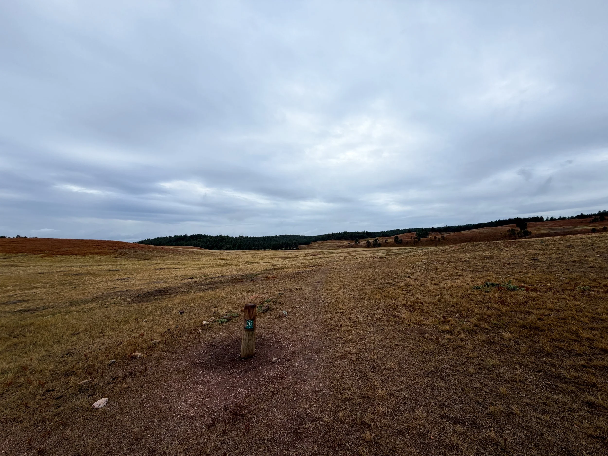 Highland Creek Trail Wind Cave National Park South Dakota
