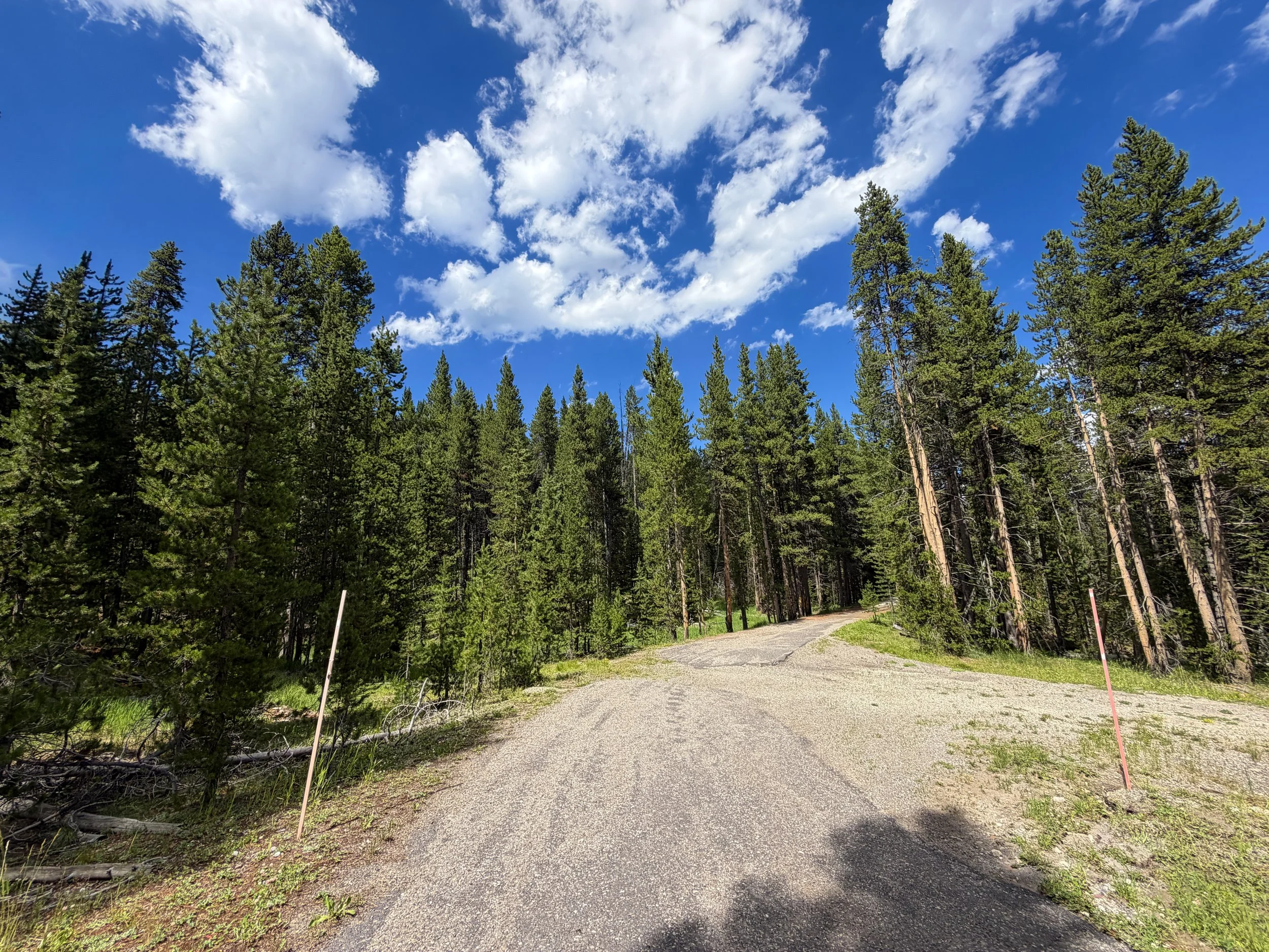 North Rim Trail Yellowstone National Park Wyoming