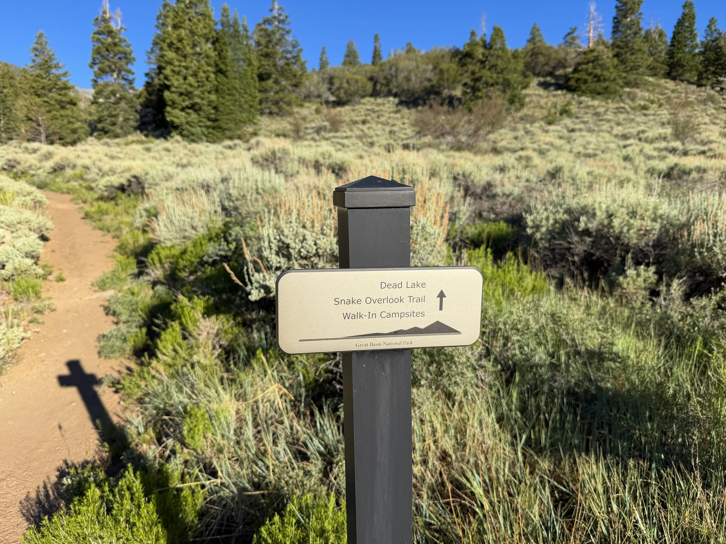 Snake Divide Trail Great Basin National Park Nevada