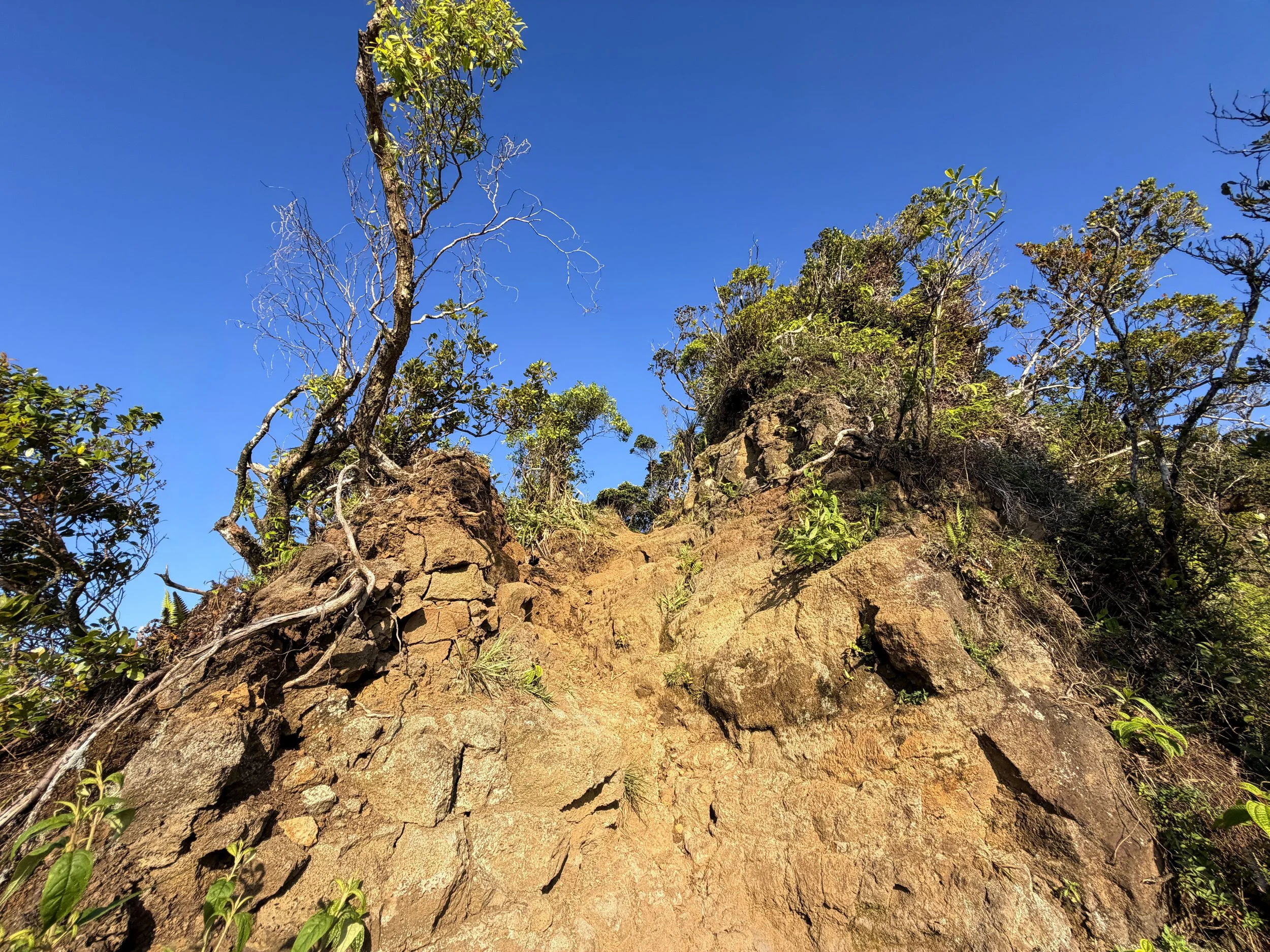 Moanalua Middle Ridge Trail to Haiku Stairs Oahu Hawaii