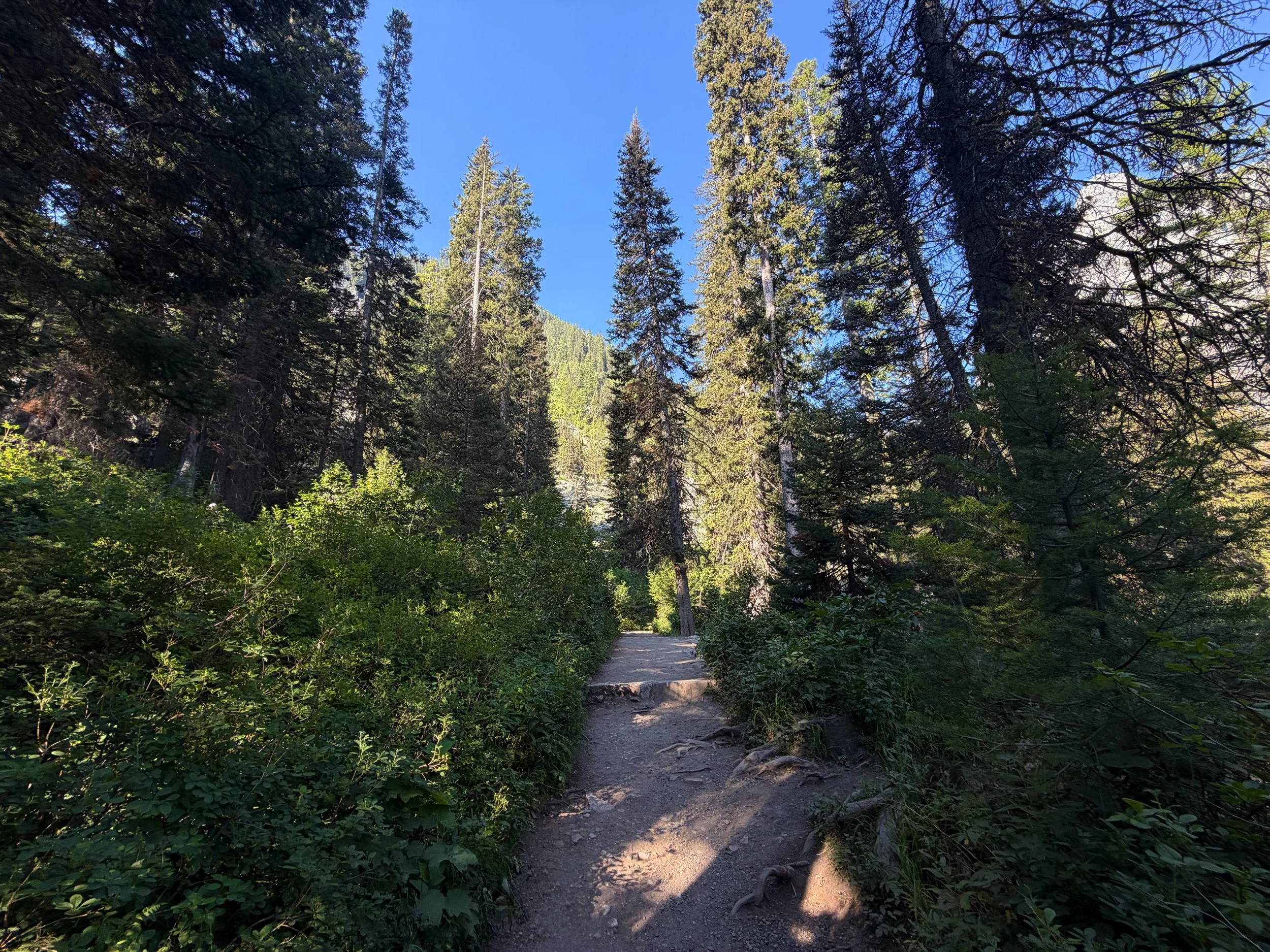 Hidden Falls Hike Grand Teton National Park Wyoming