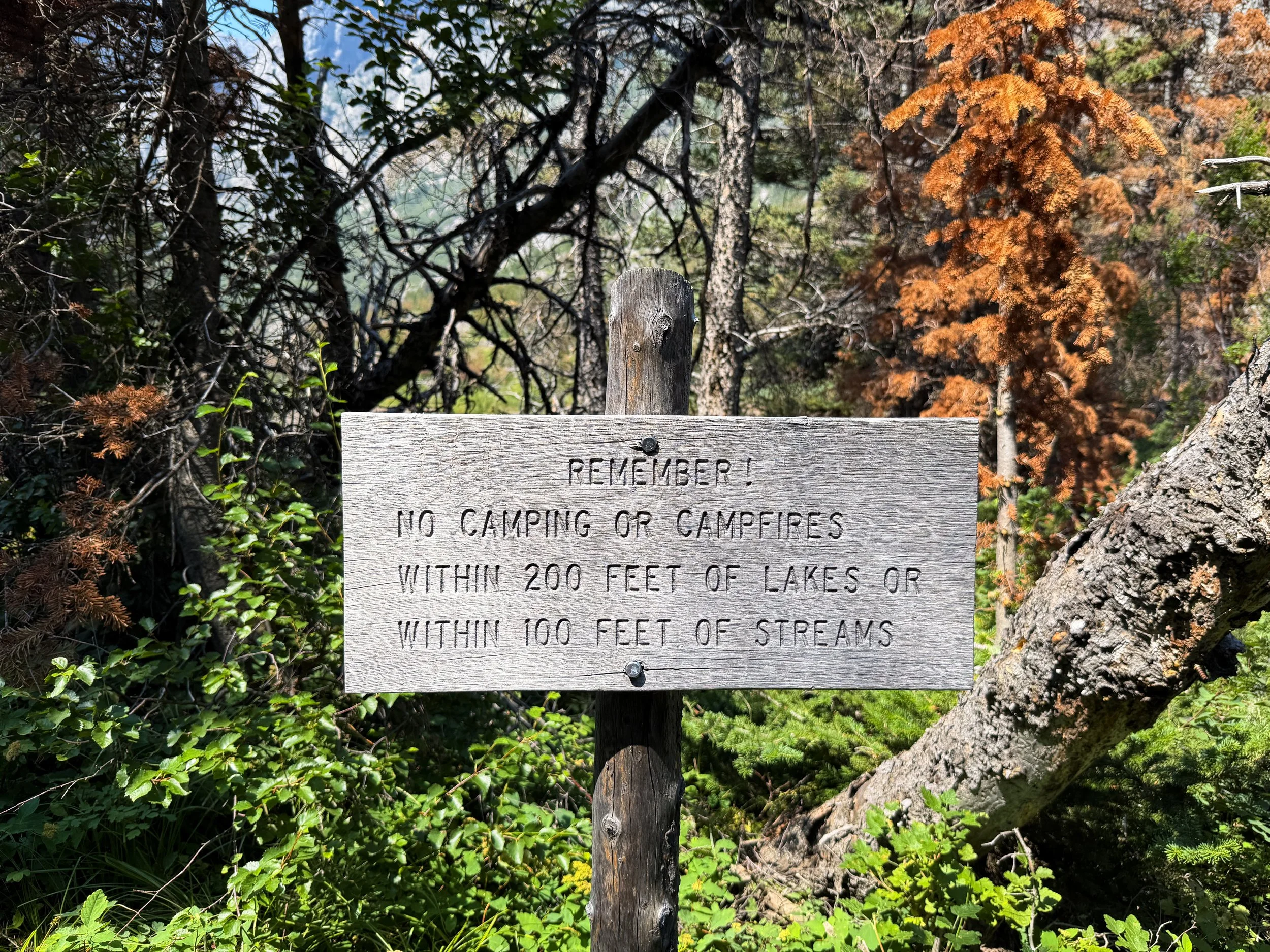 Elk Lake Beaten Path Trail Beartooth Mountains Montana