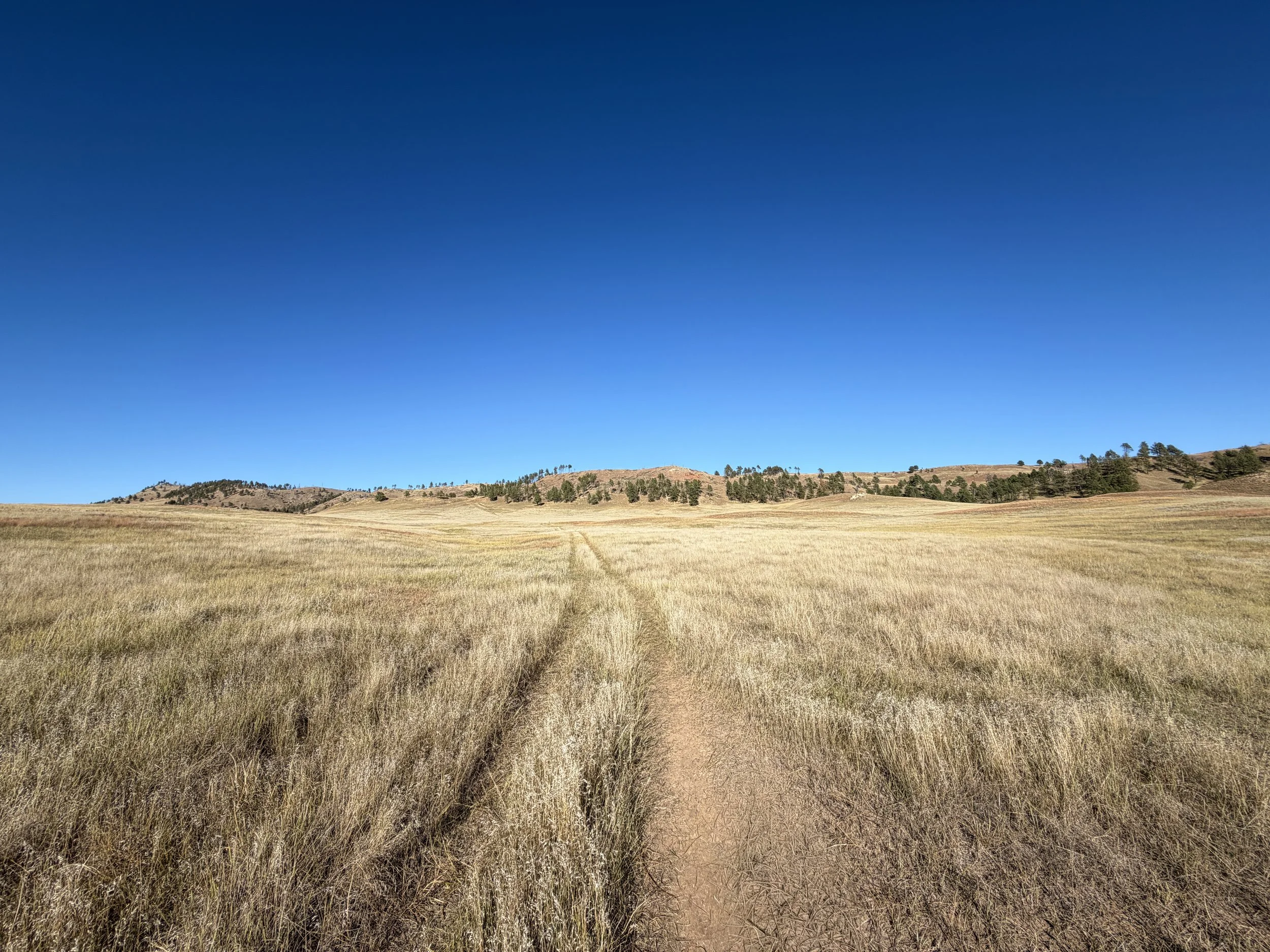 Boland Ridge Trail Wind Cave National Park South Dakota
