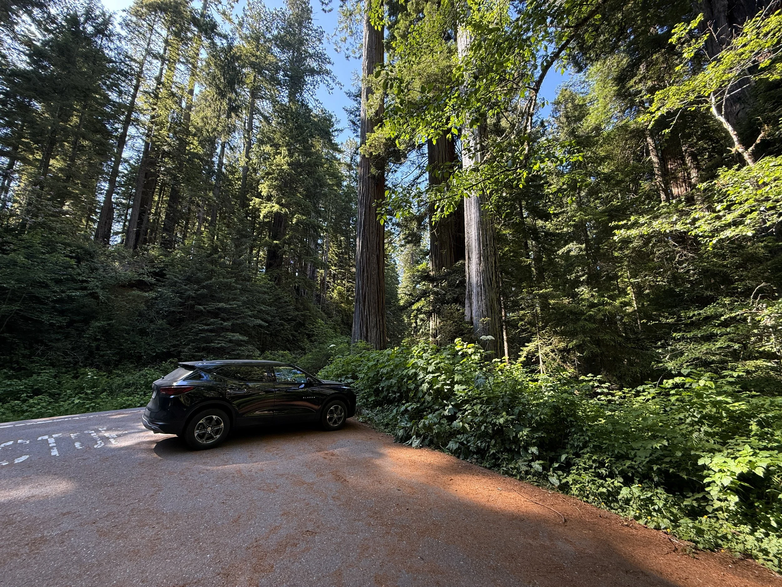 Ah-Pah Interpretive Trailhead Parking Prairie Creek Redwoods State Park California